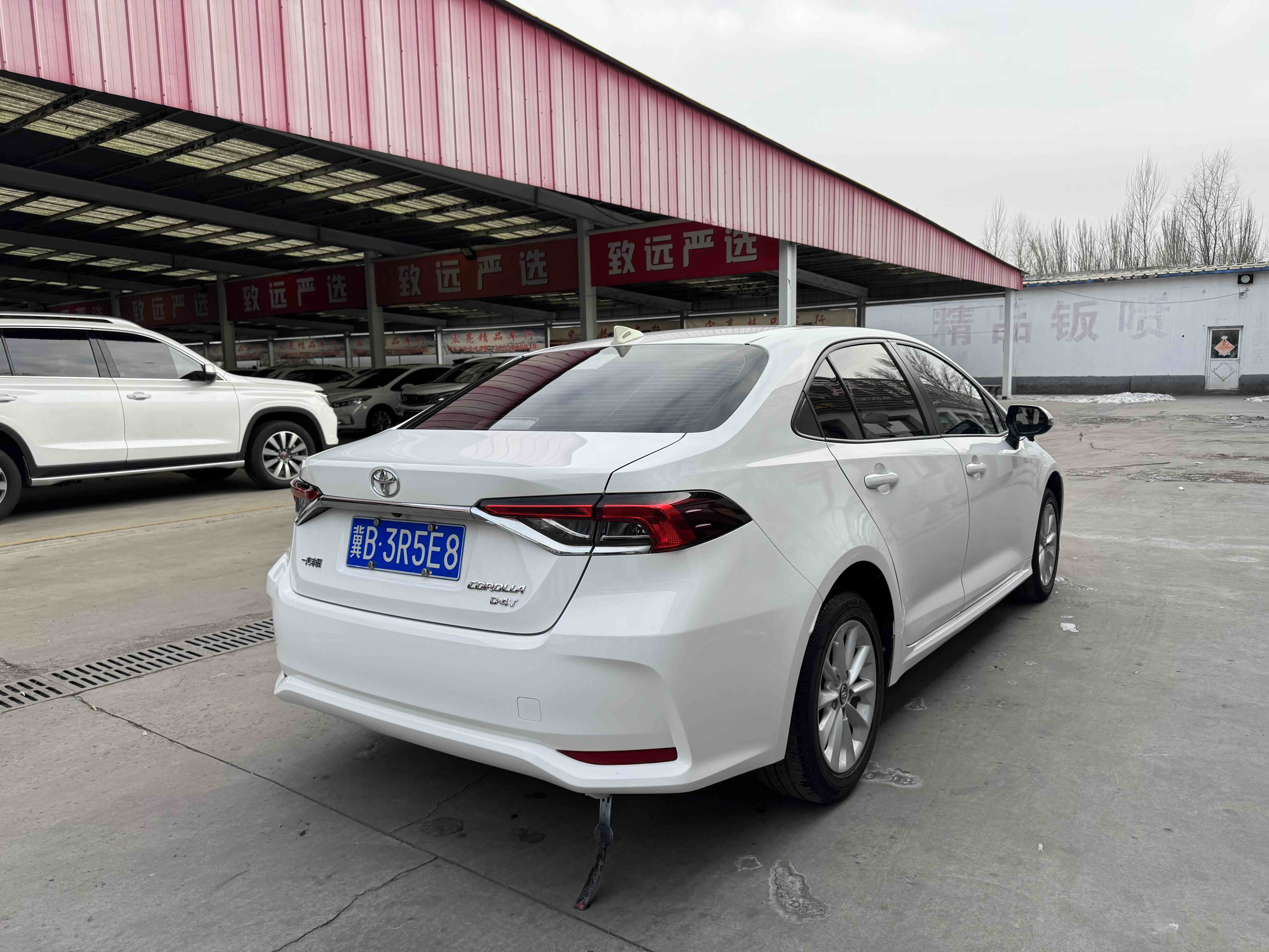 Corolla 2021 car image #5