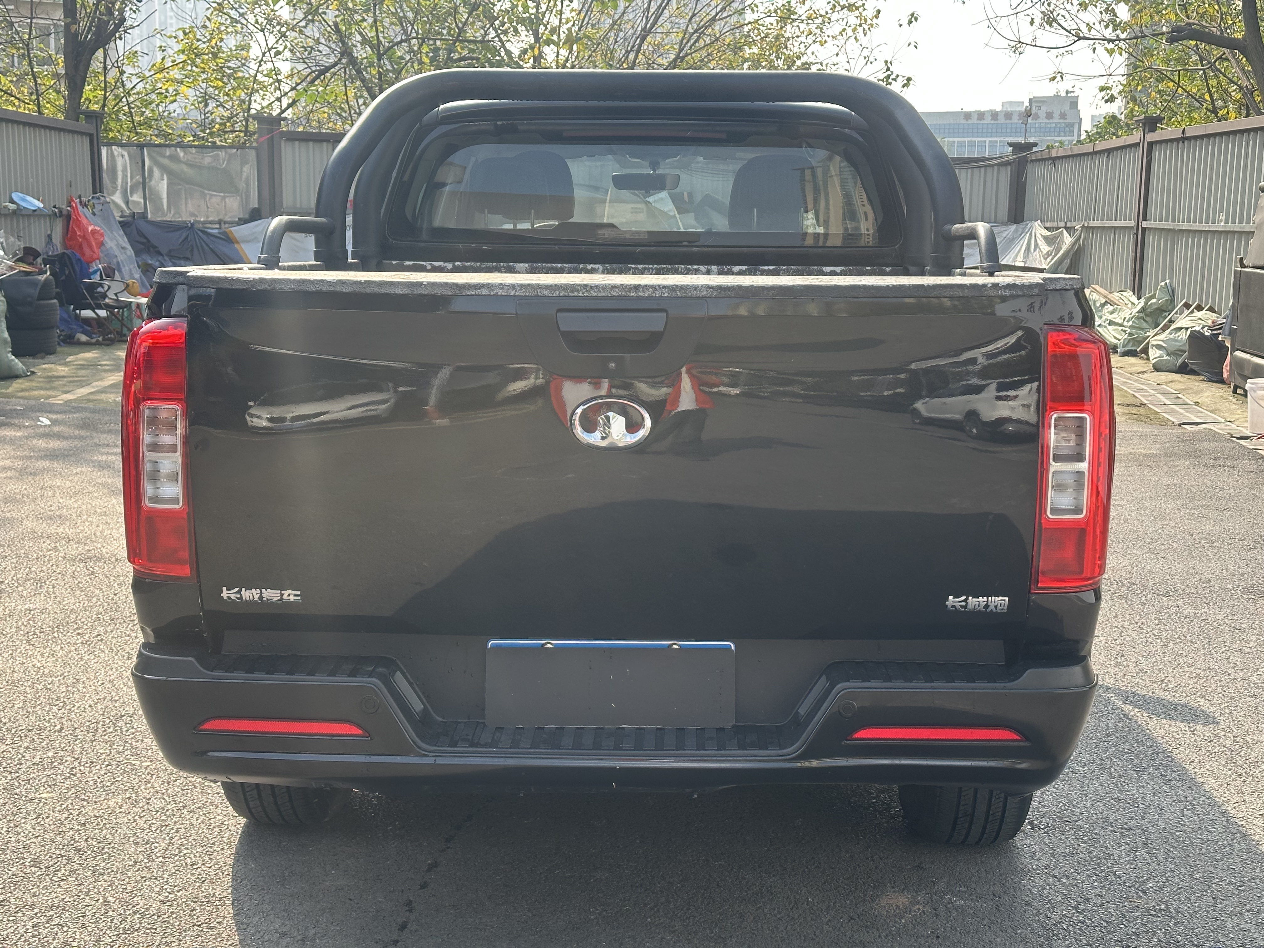 Great Wall Poer 2020 car image #5