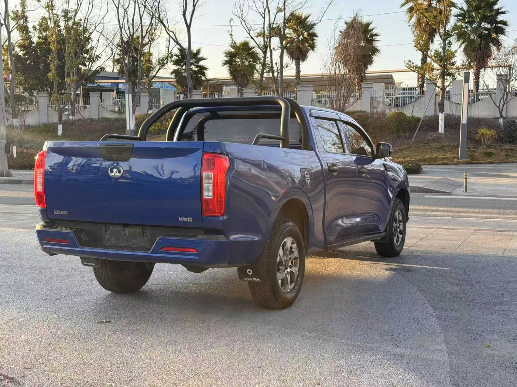 Great Wall Poer 2021 immagine di auto #5