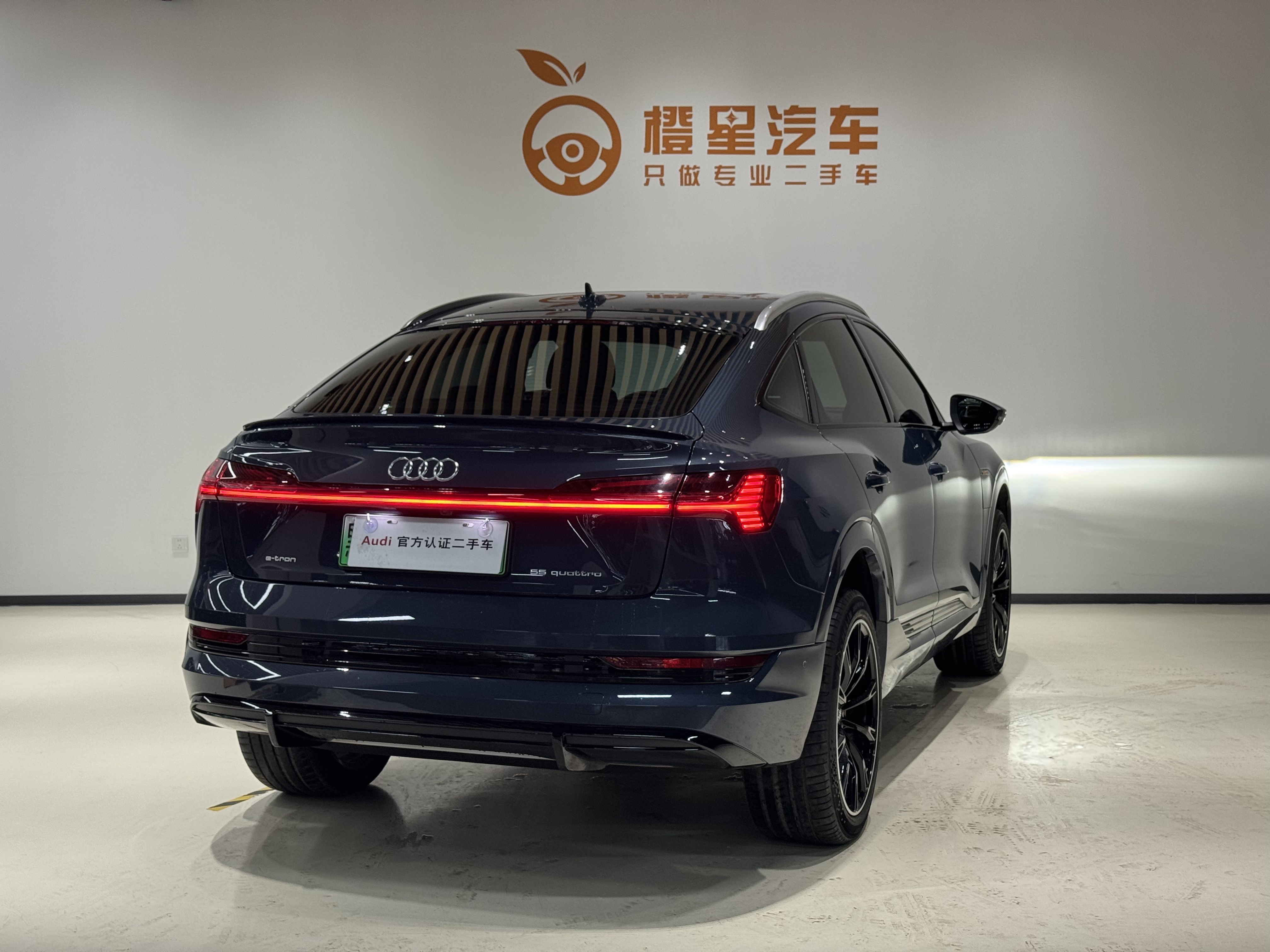 Audi e-tron (Imported) 2022 car image #5