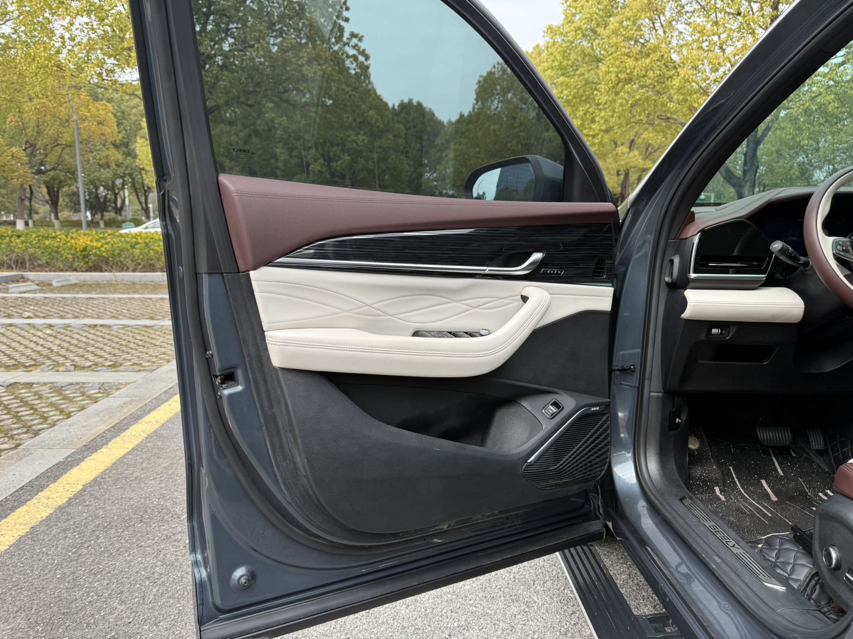 GEELY Monjaro 2021 image de voiture #5