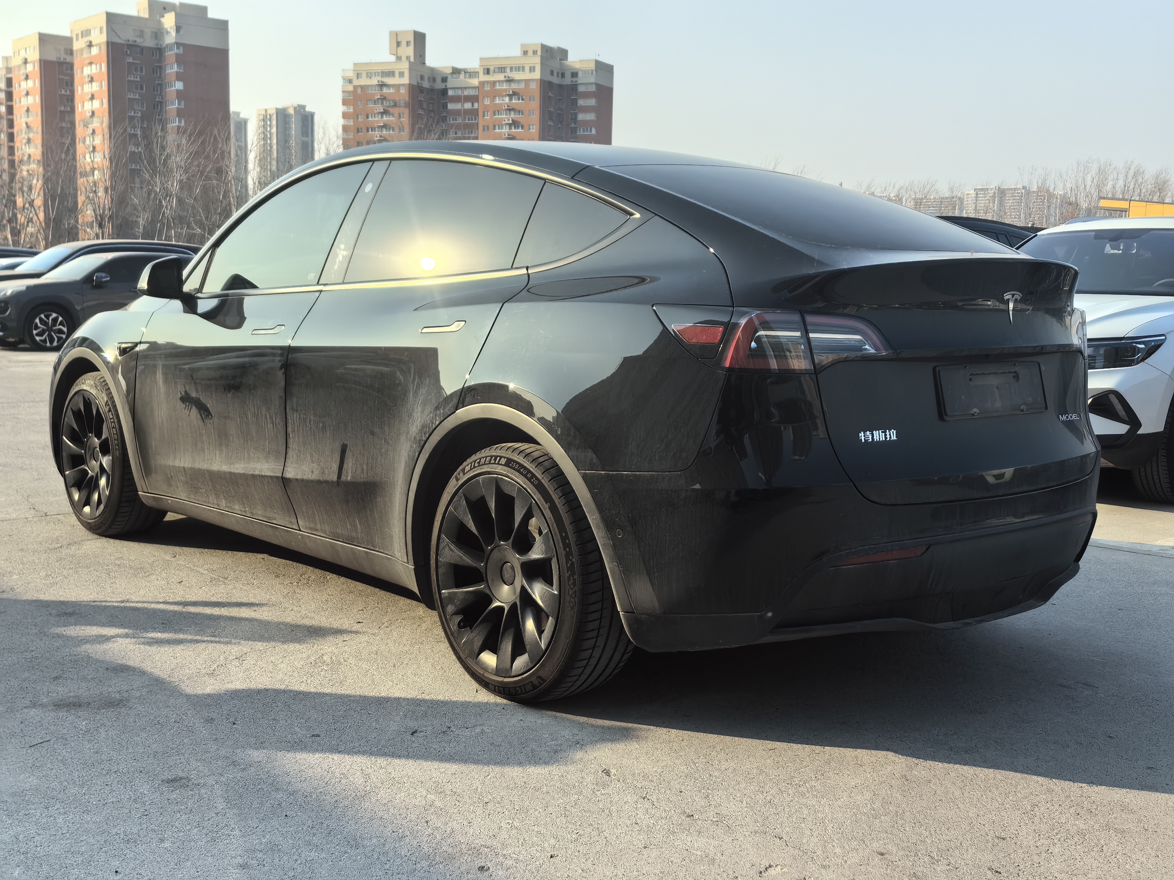 特斯拉 Model Y 2021 汽车图片 #5