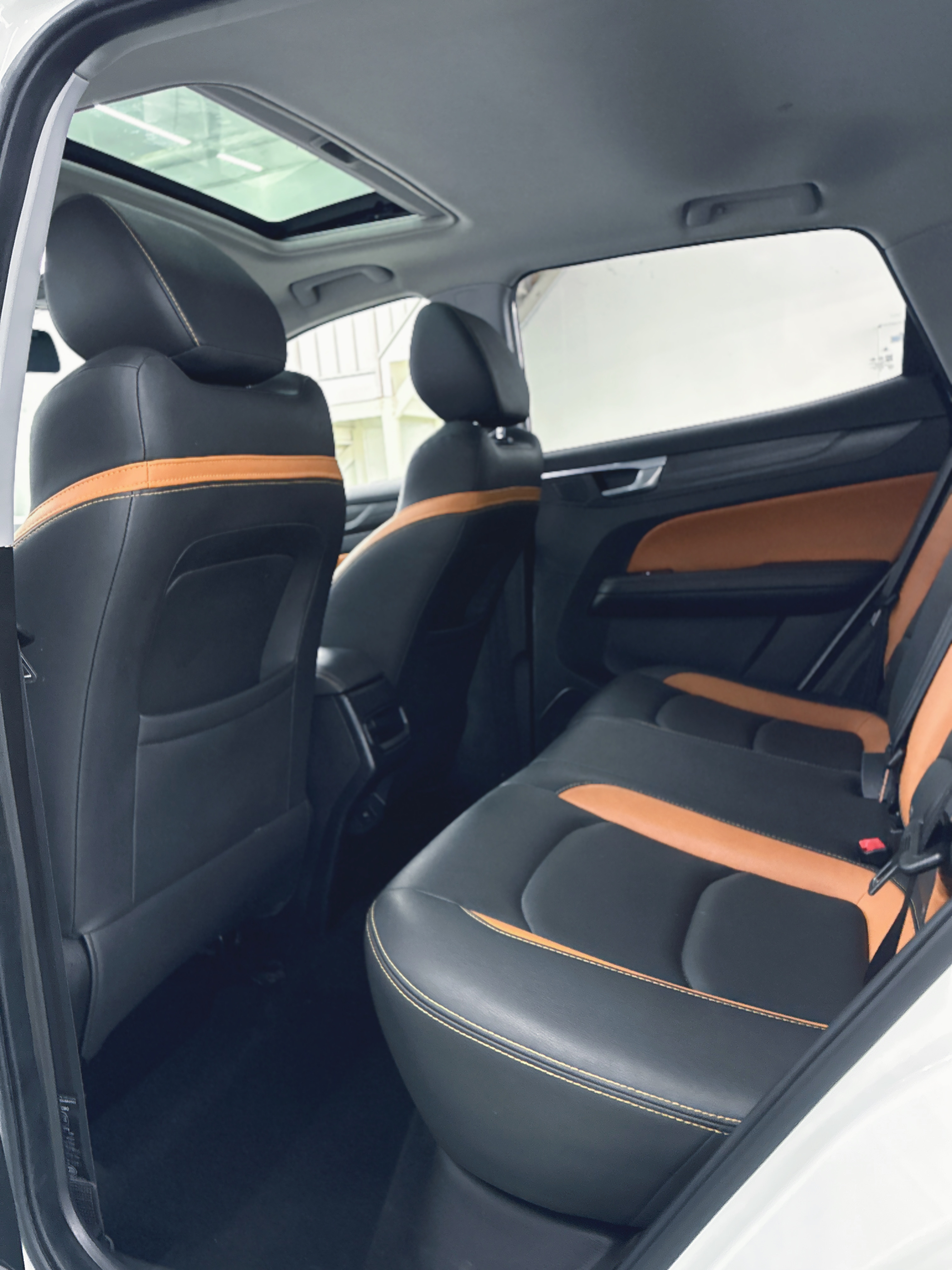 Showjet Pro 2021 car image #5