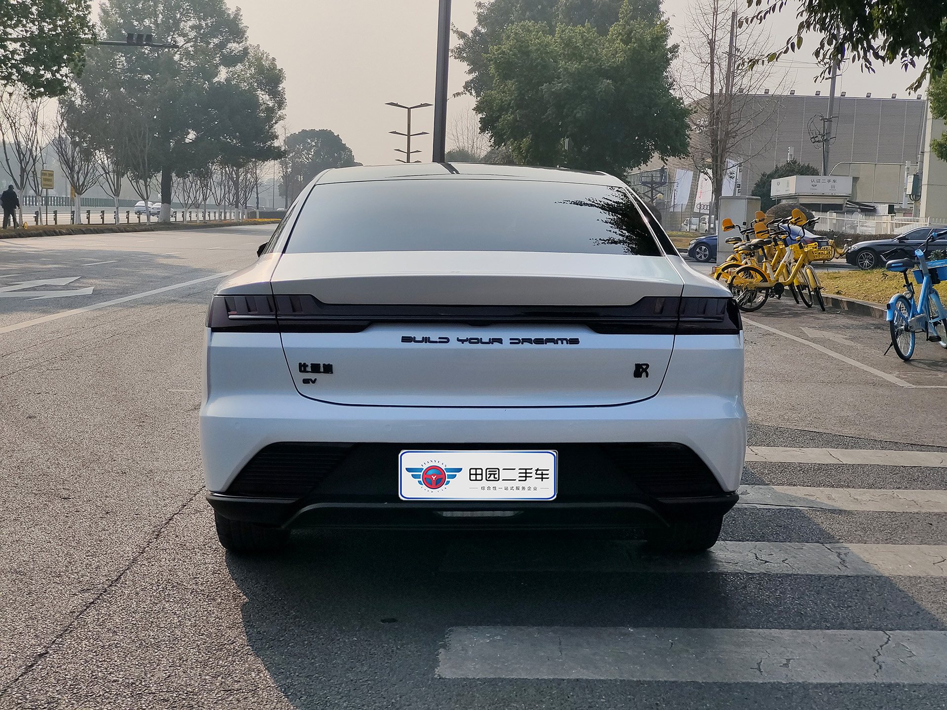 BYD Han 2022 car image #5