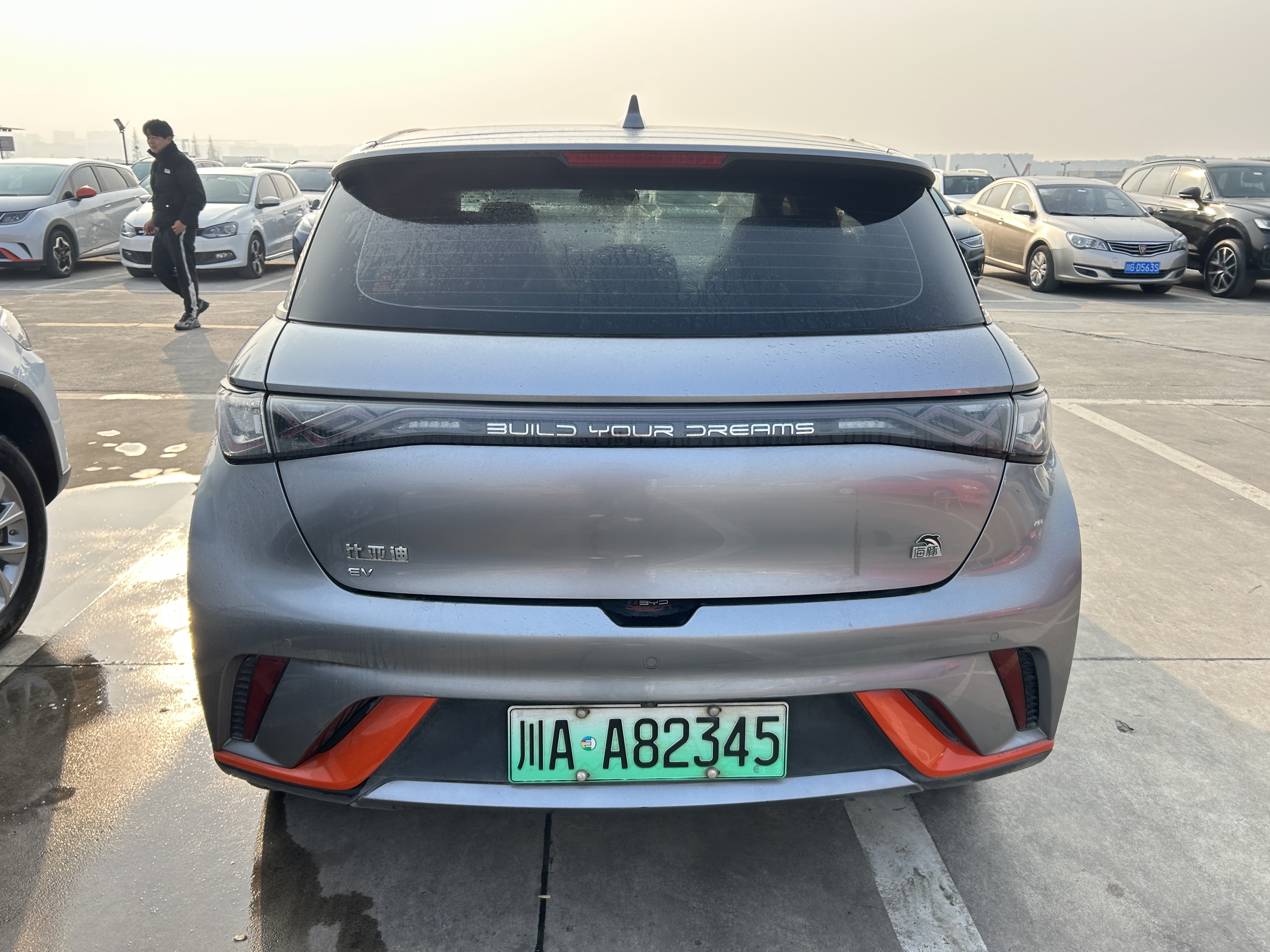 BYD Dolphin 2022 car image #5