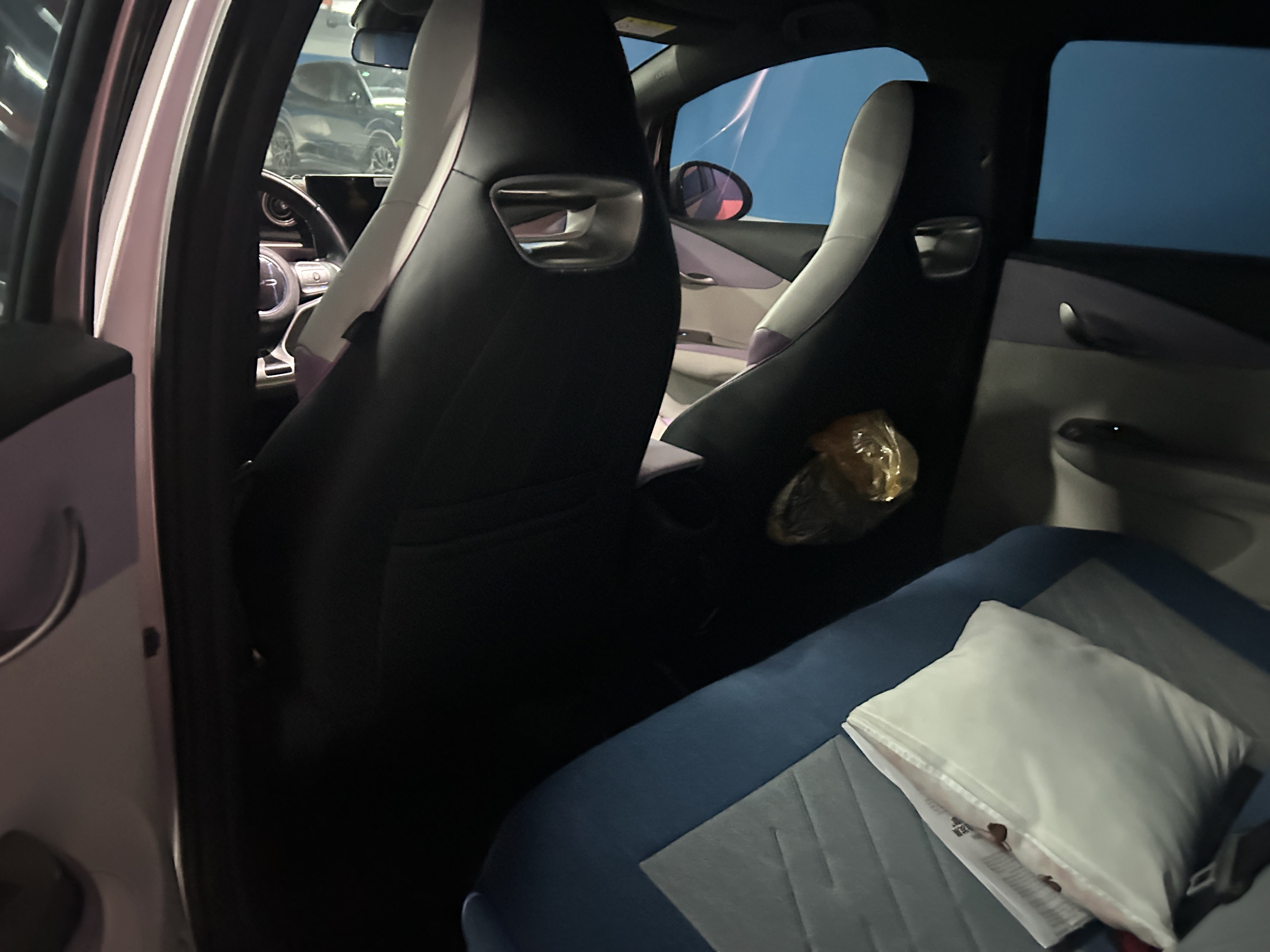 BYD Dolphin 2022 car image #5