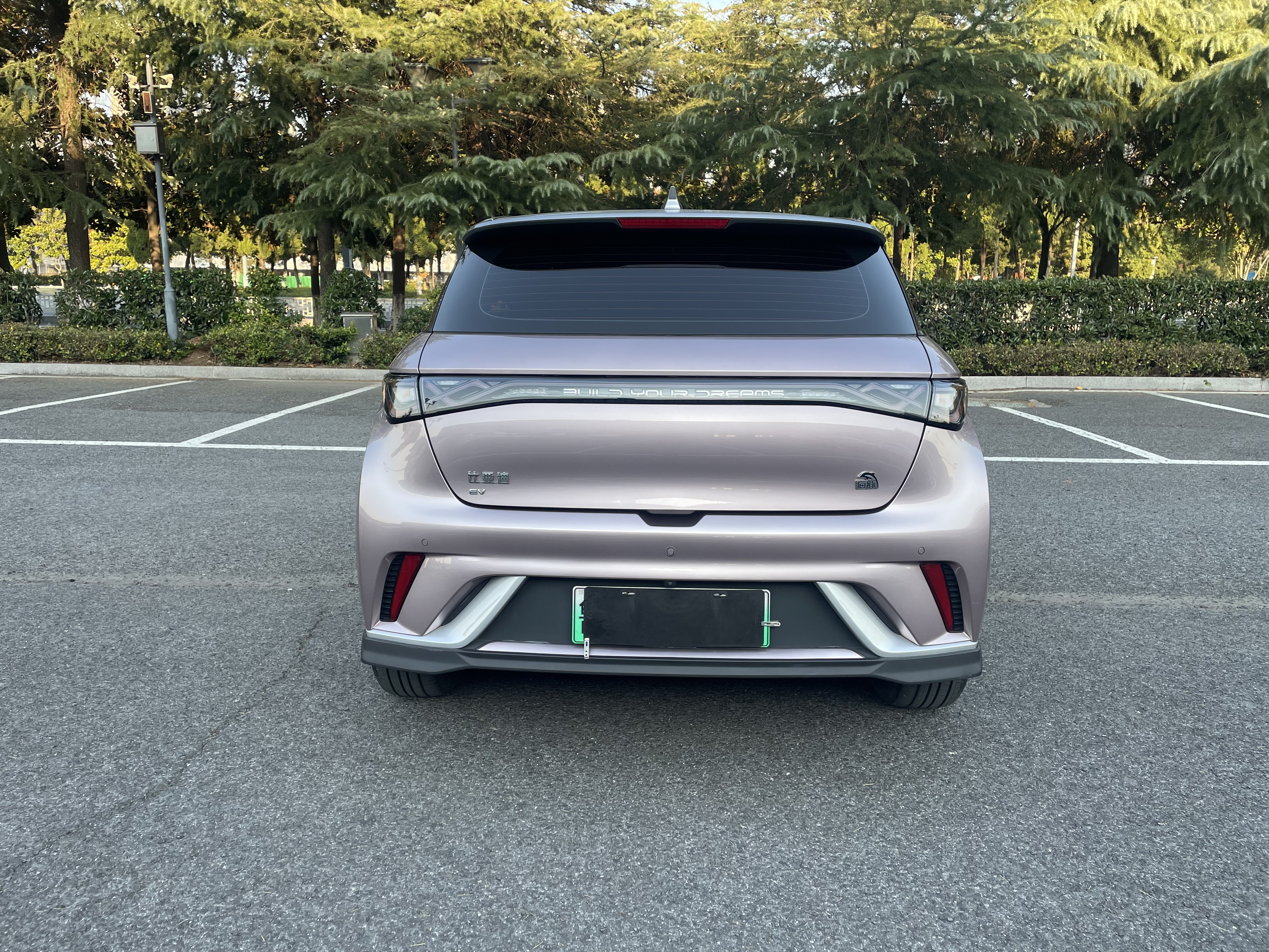 BYD Dolphin 2023 صورة سيارة #5