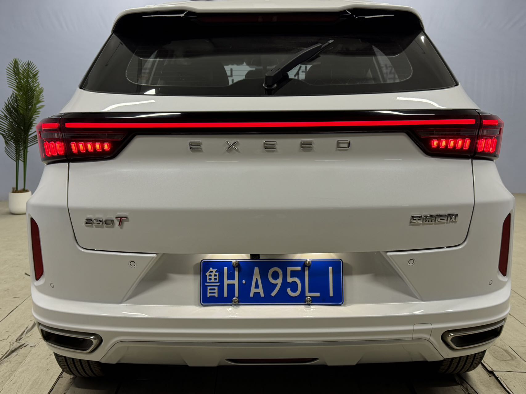 Exceed Chasing Wind 2022 car image #5