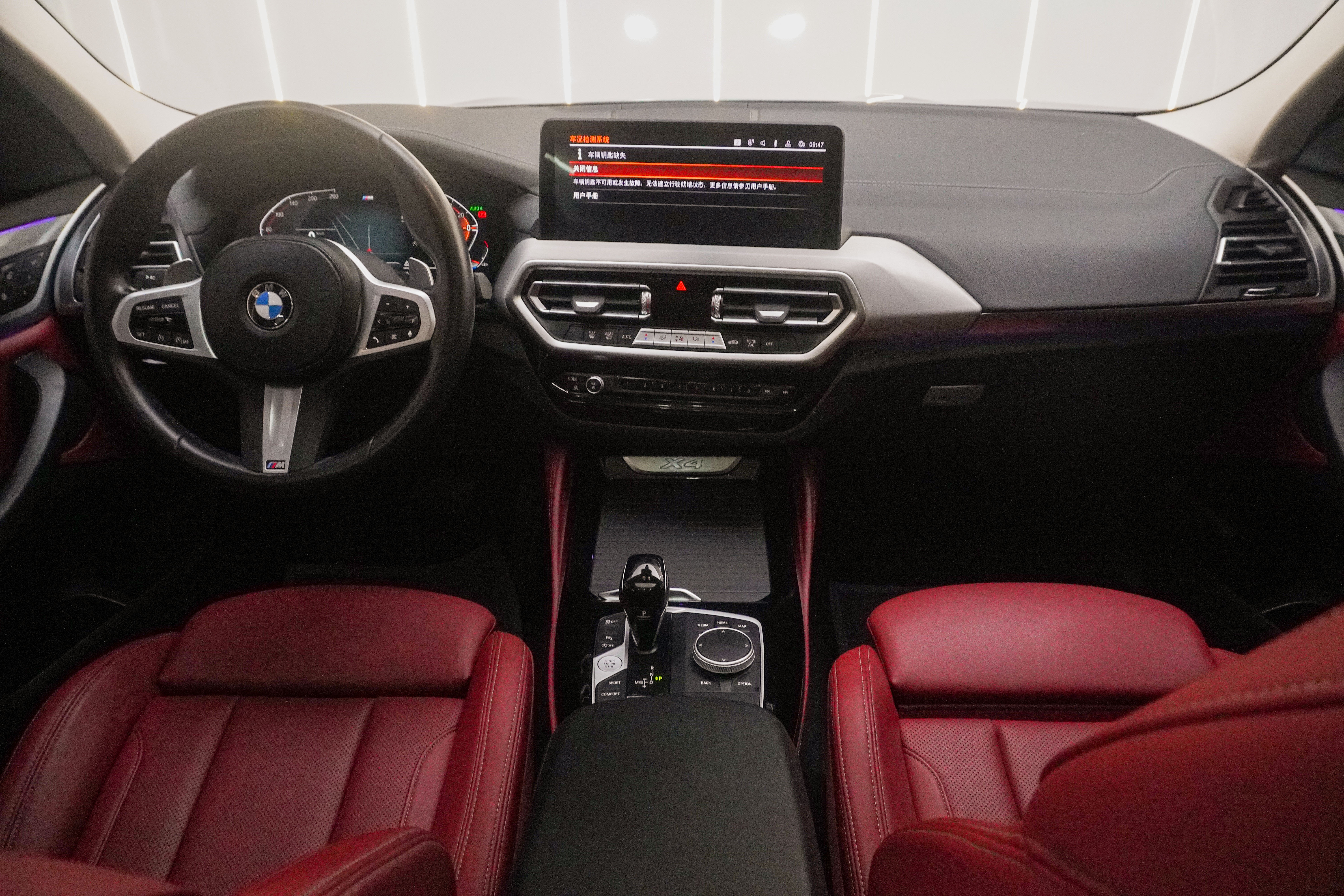 BMW X4 2023 immagine di auto #5