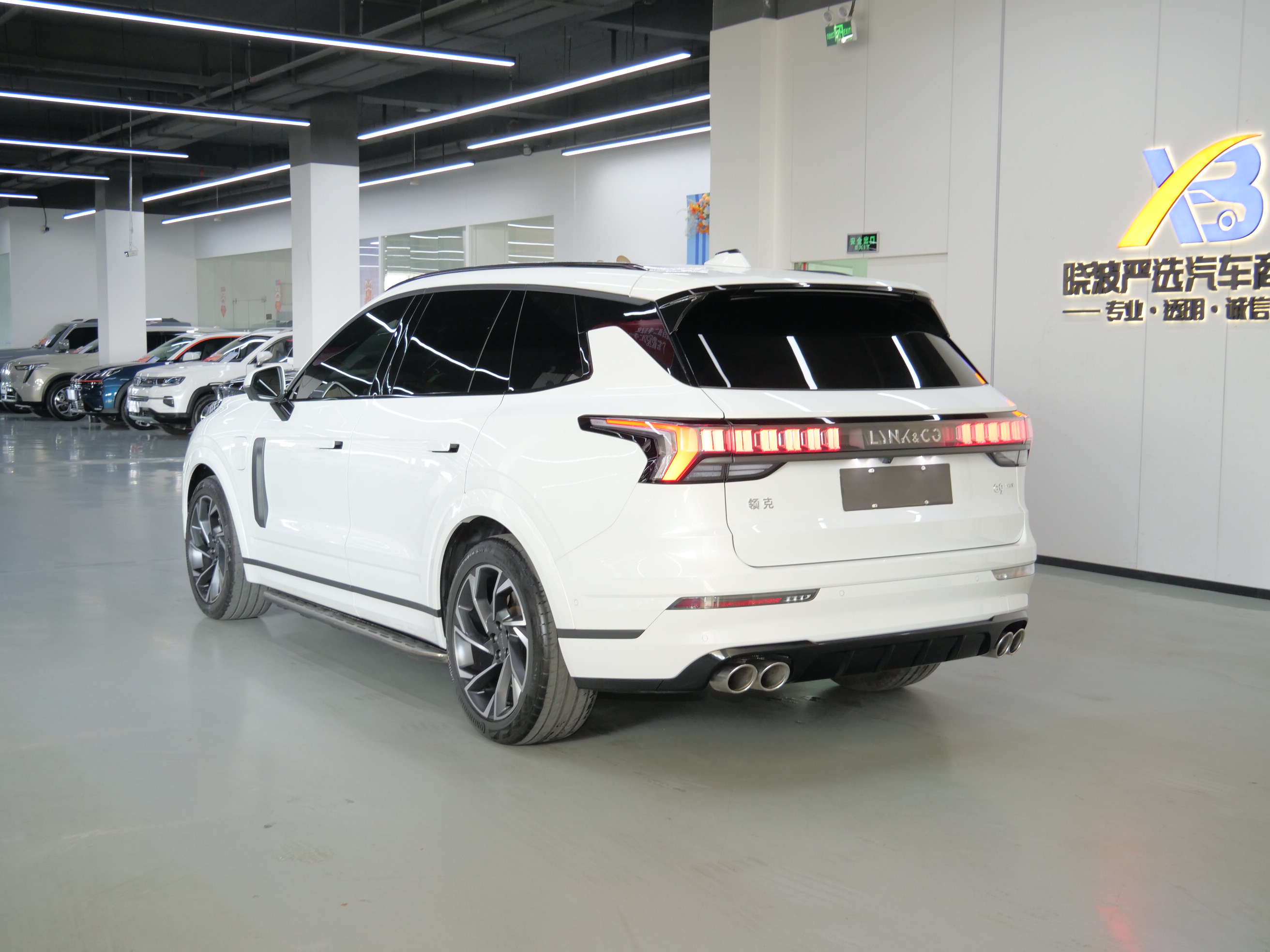 Lynk & Co 09 EM-P 2022 car image #5
