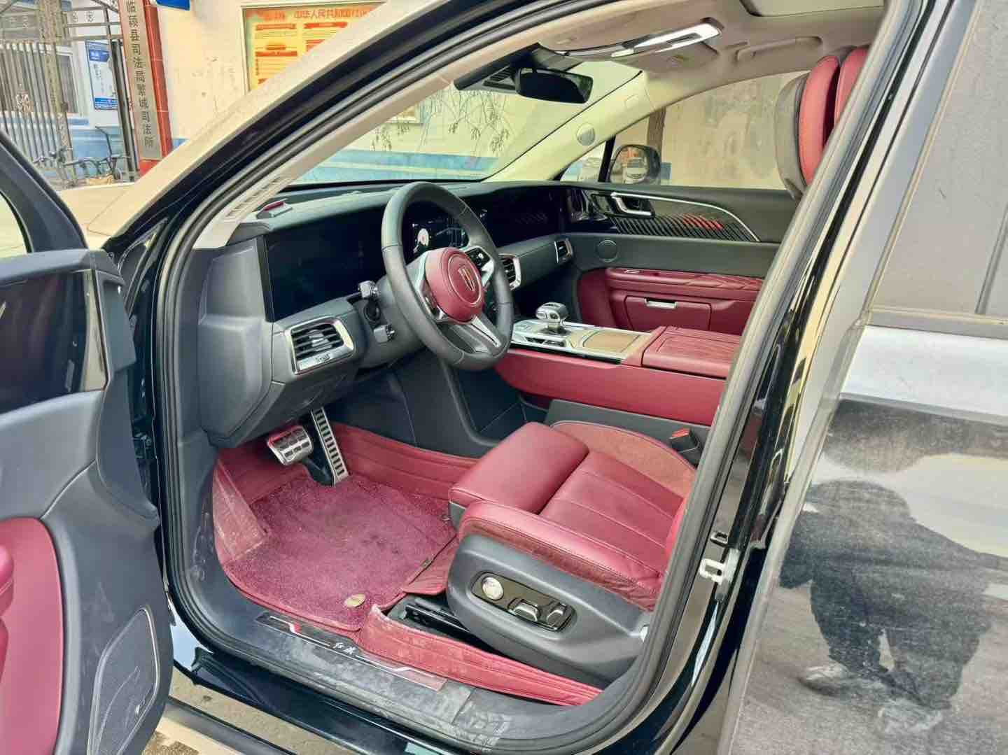 HongQi E-HS9 2023 immagine di auto #5