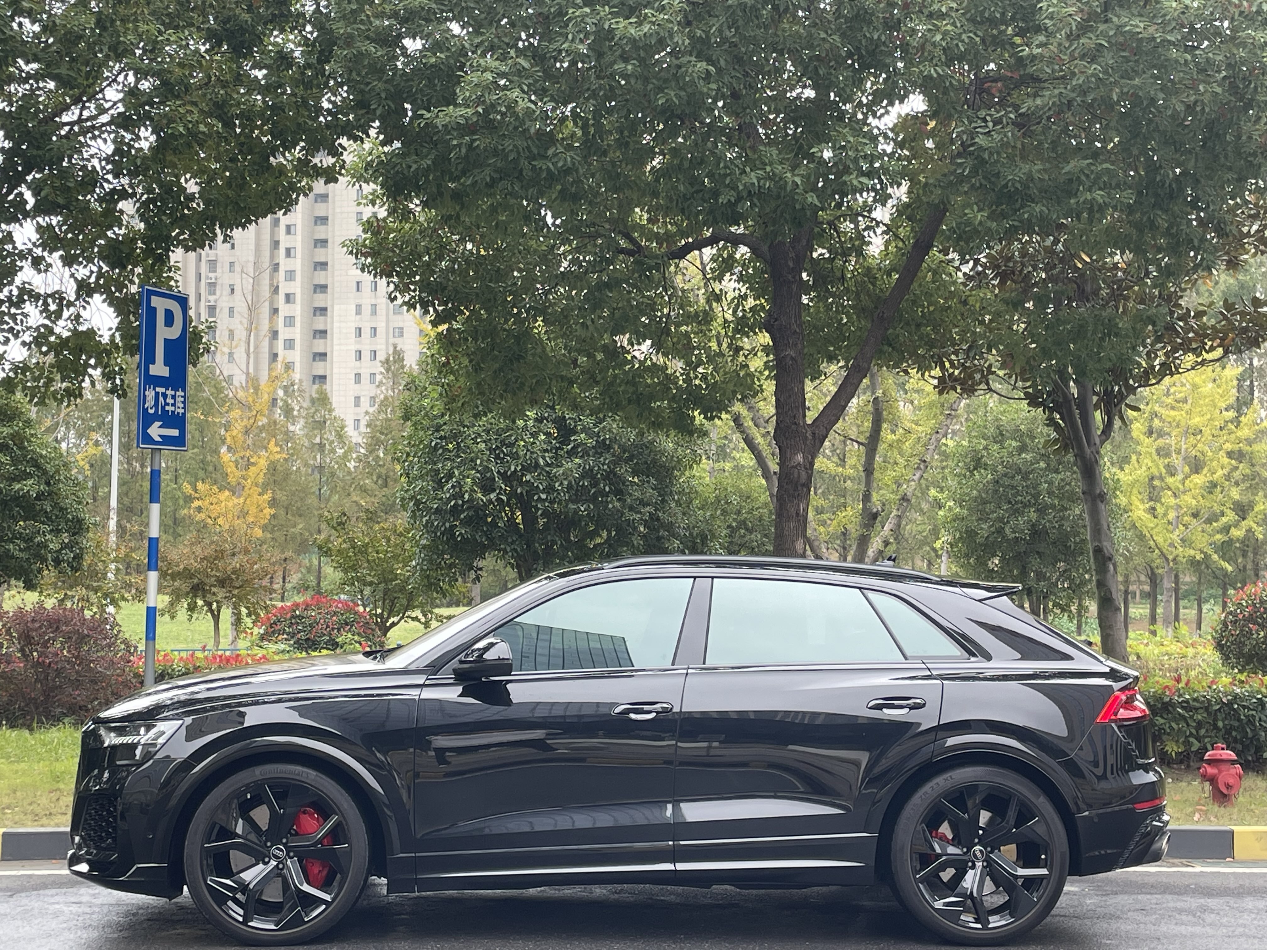Audi RS Q8 2024 car image #5