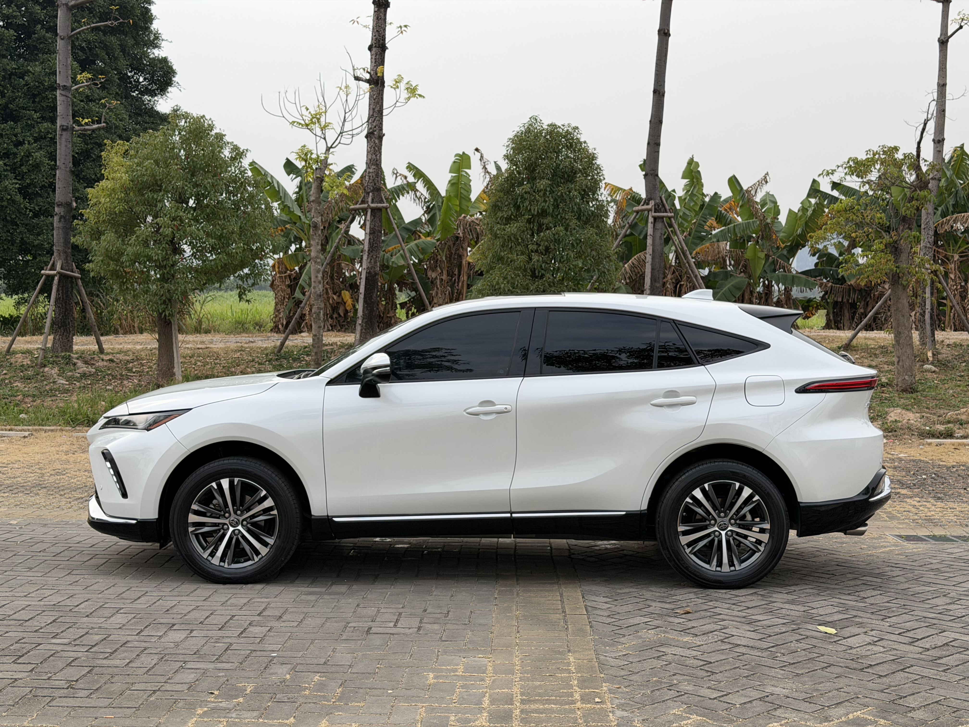 Toyota Venza 2023 immagine di auto #5