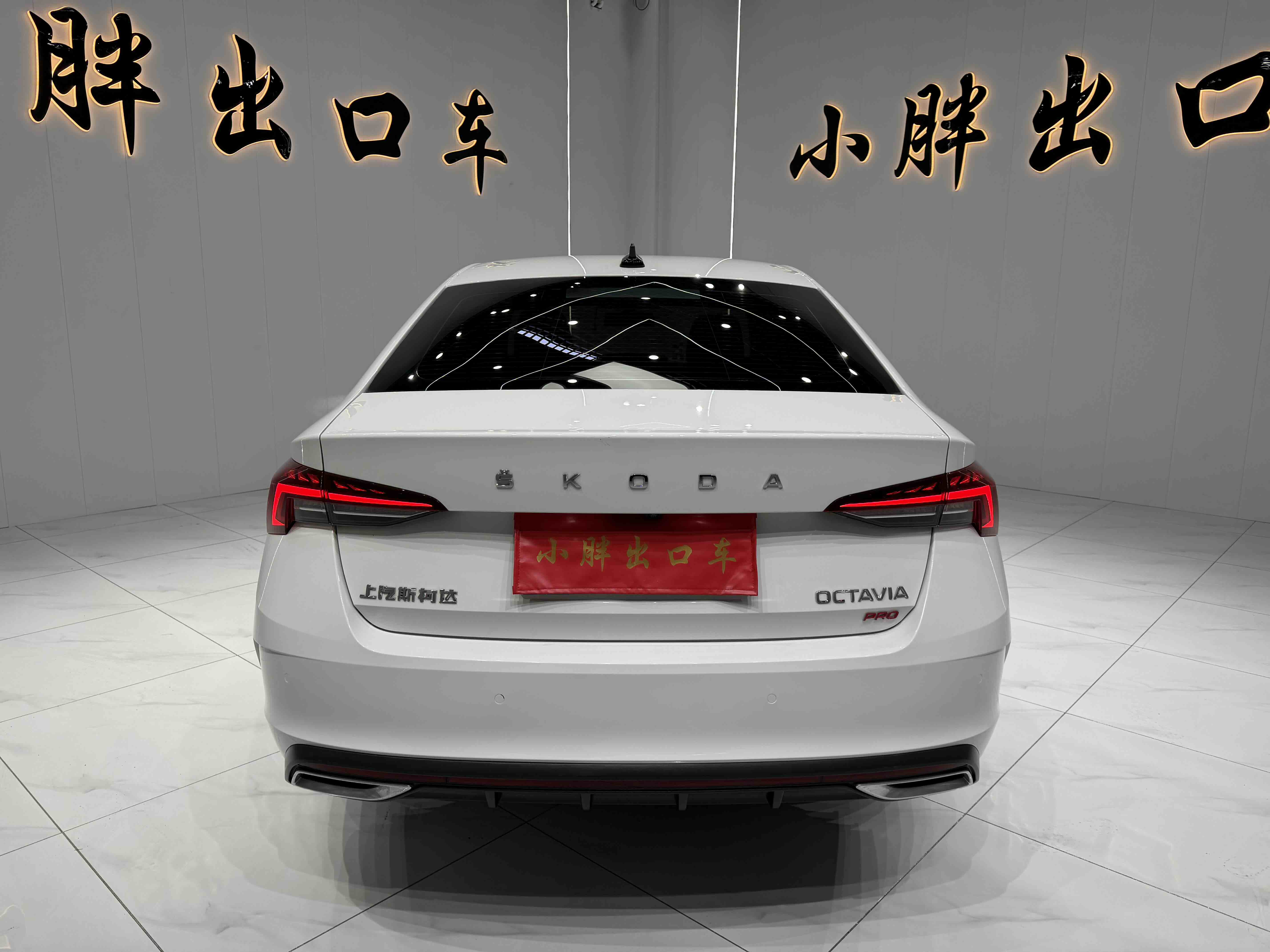 Skoda Octavia 2021 car image #5