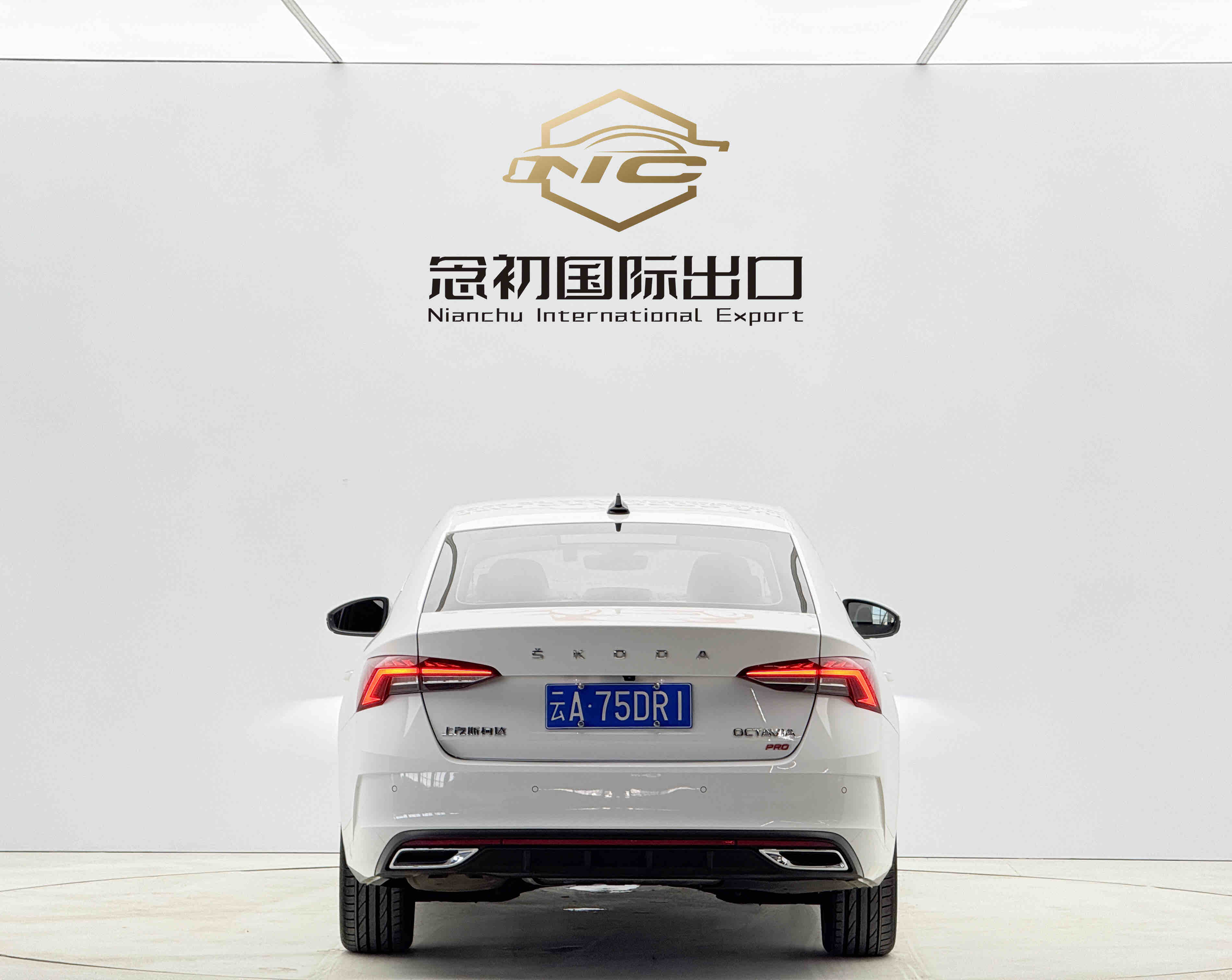 Skoda Octavia 2022 car image #5