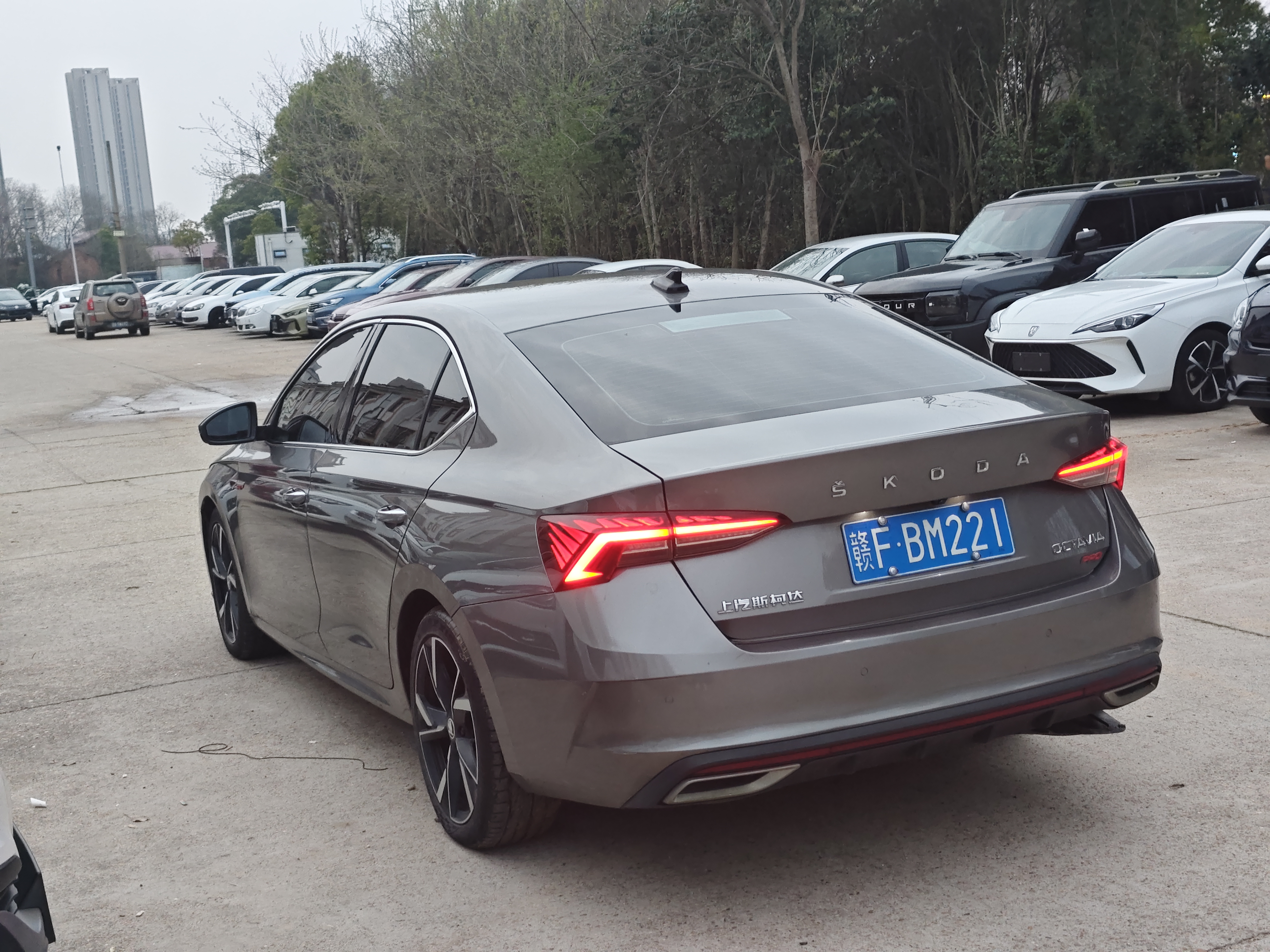 Skoda Octavia 2022 car image #5