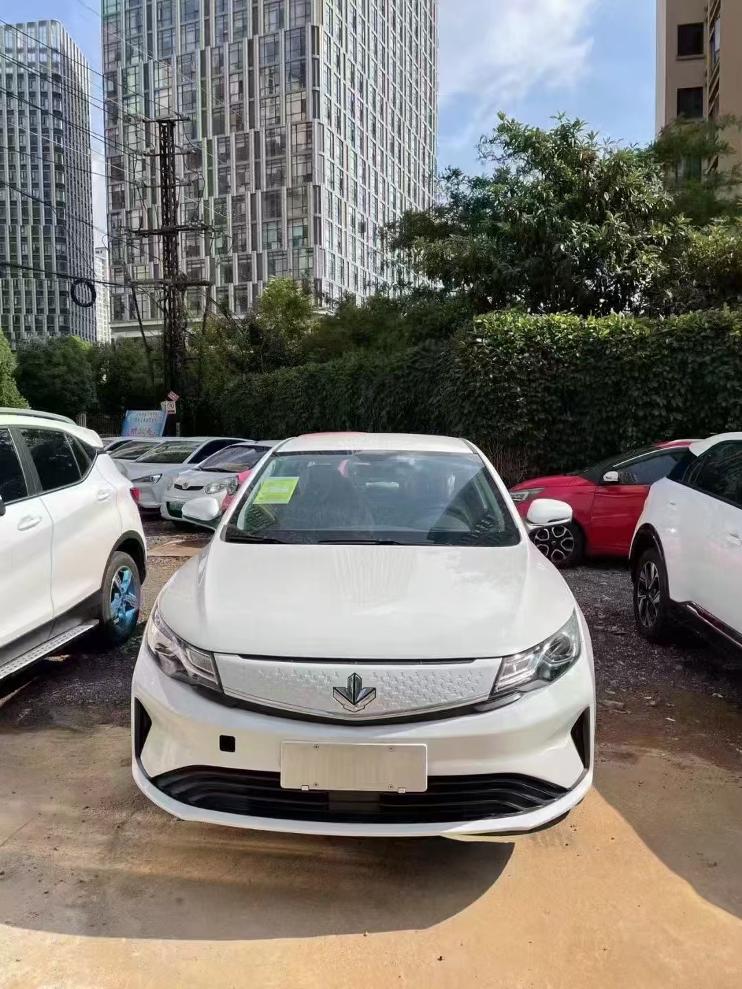 睿蓝汽车 枫叶60s 2023 汽车图片 #5