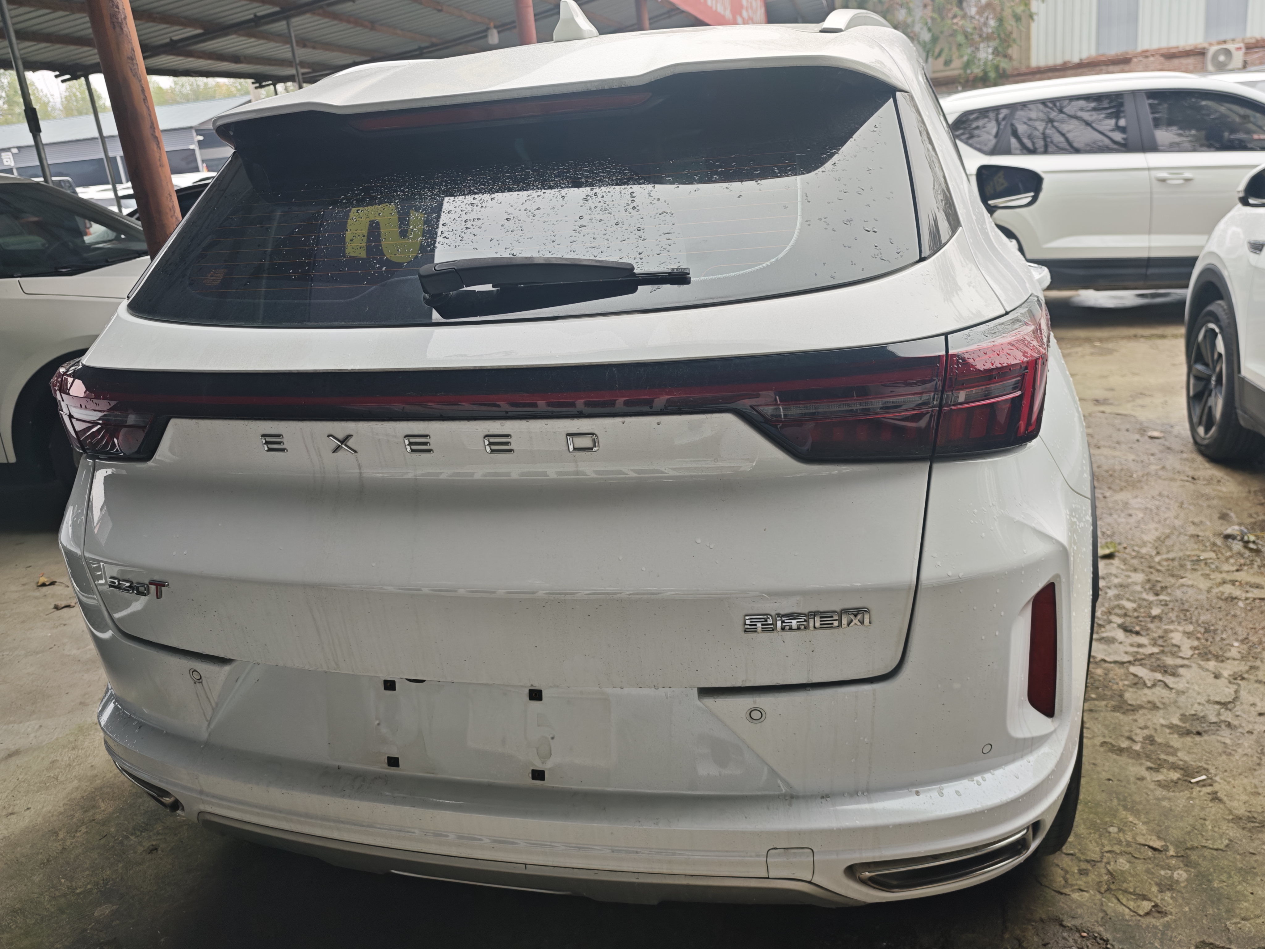 Exceed Chasing Wind C-DM 2024 car image #5