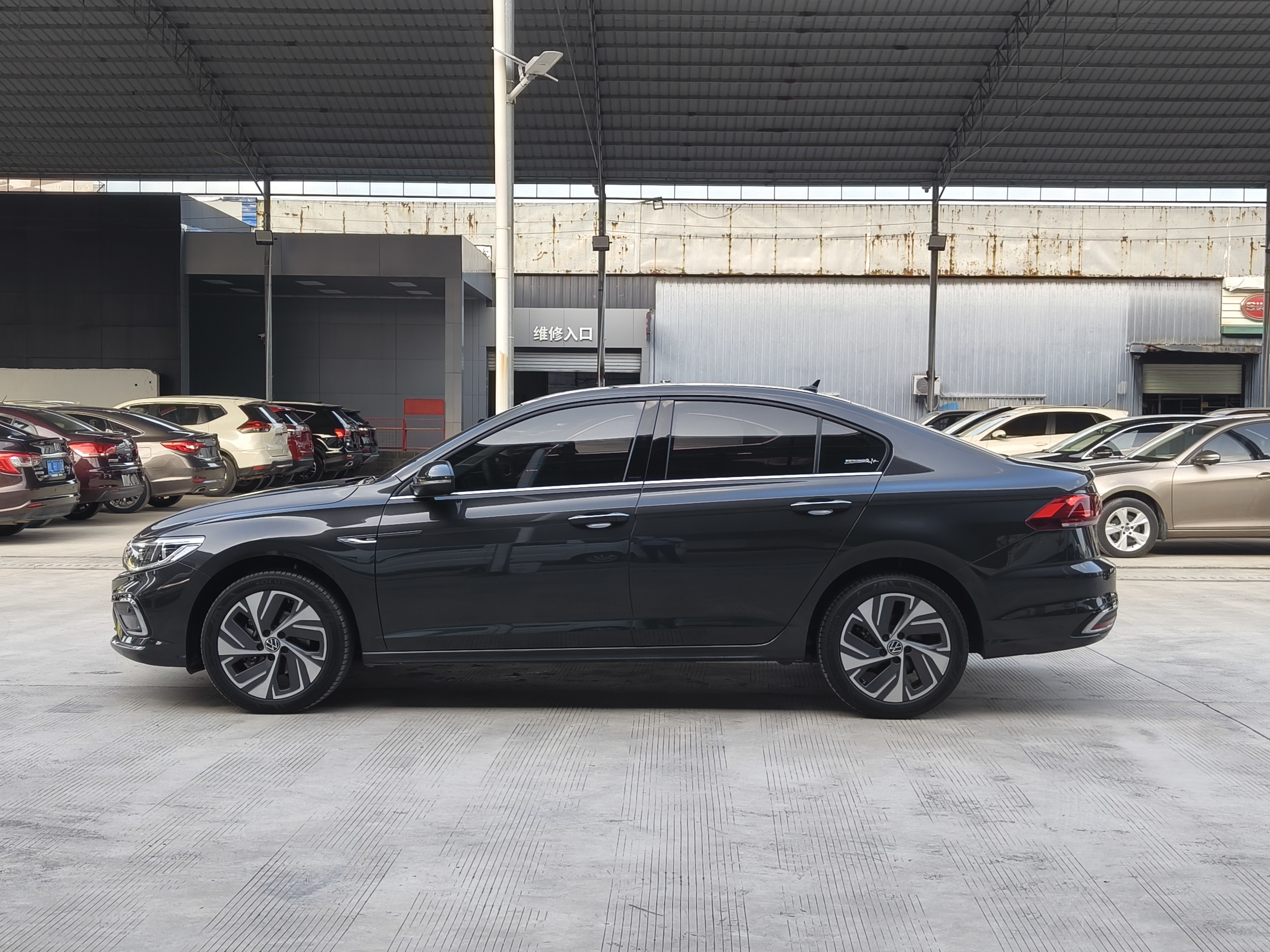 Volkswagen Bora 2023 immagine di auto #5