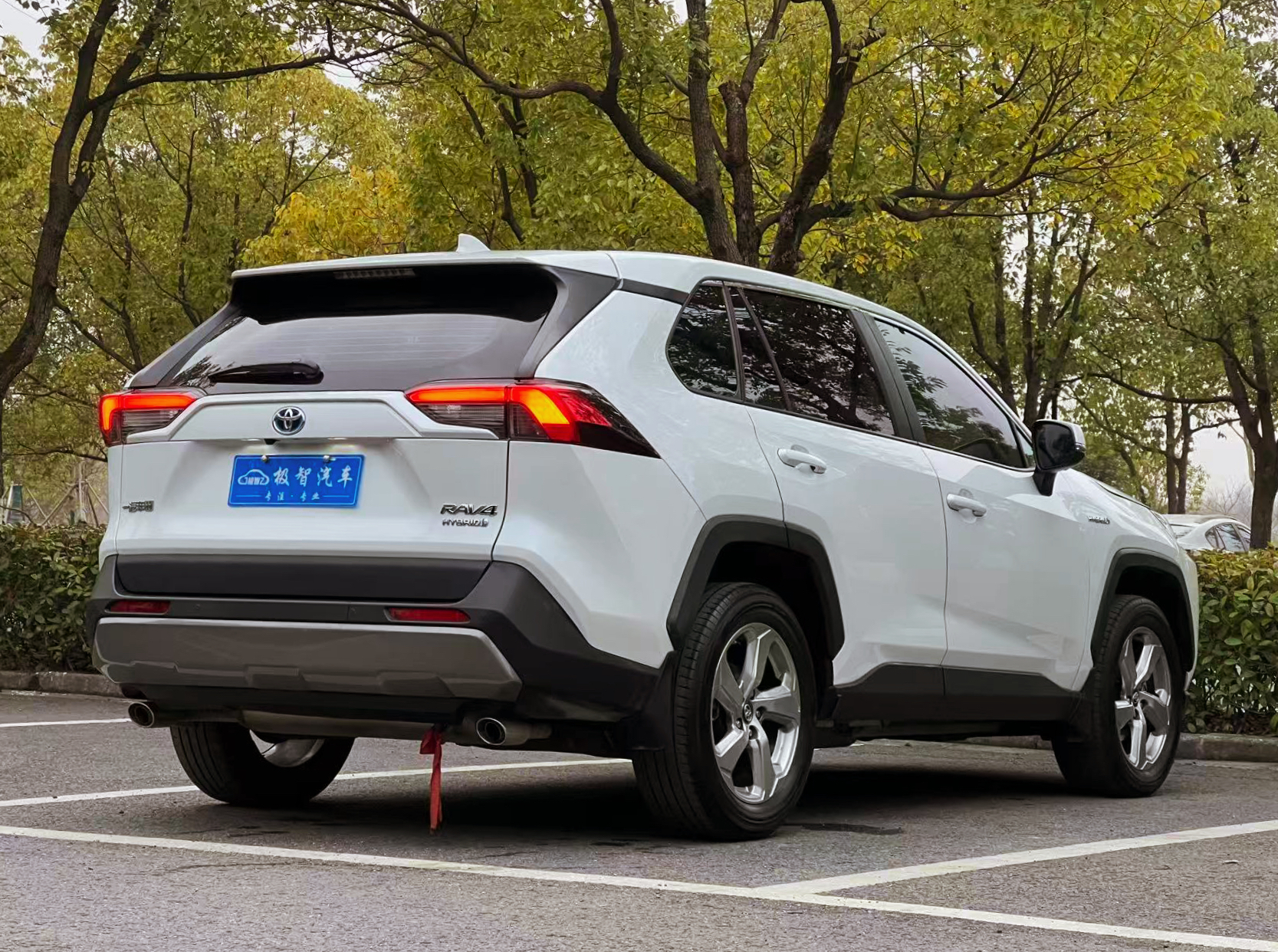 Toyota RAV4 2023 #5 Toyota RAV4 2023 car image #5