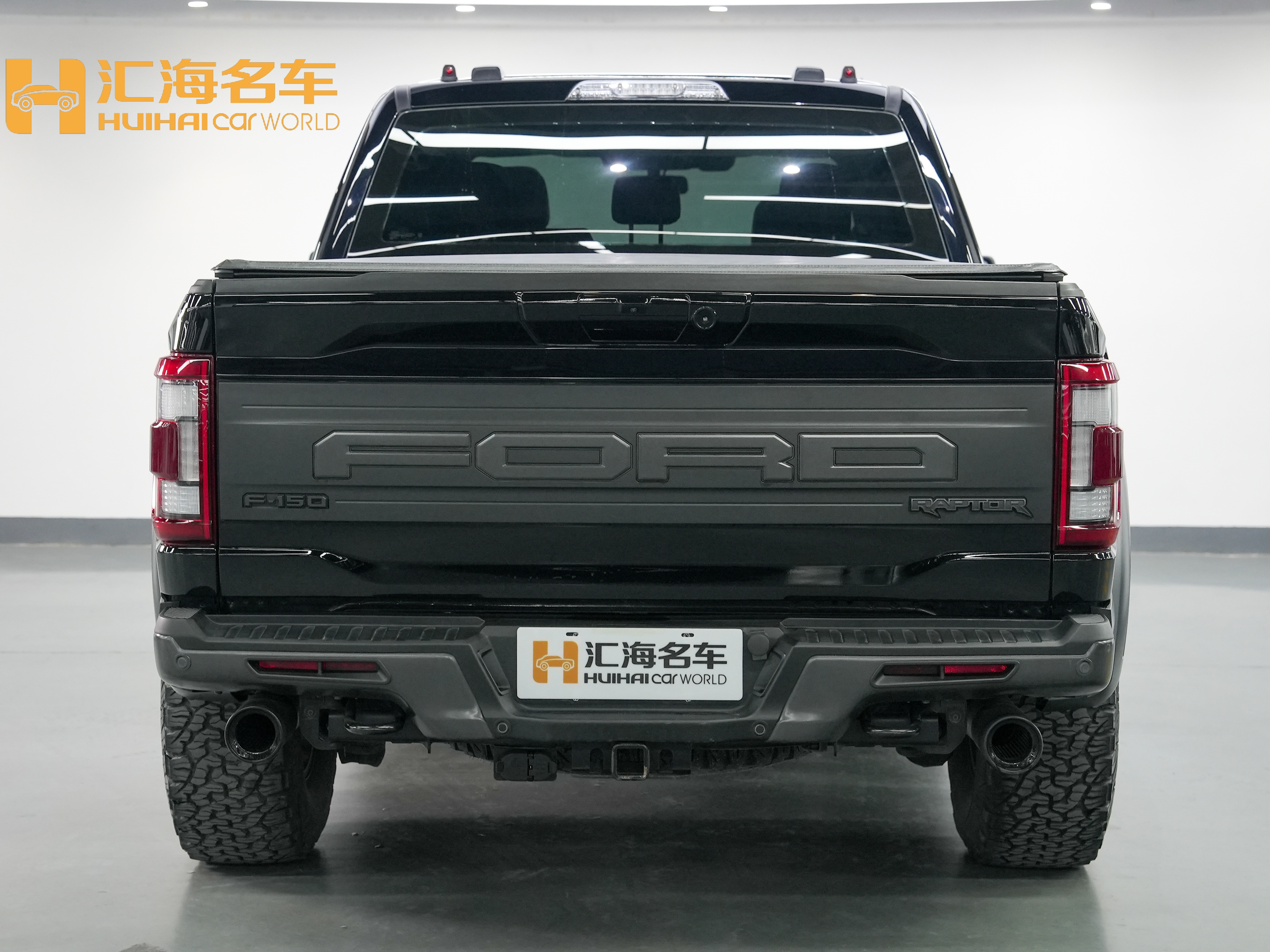 Ford F-150 Raptor 2024 car image #5