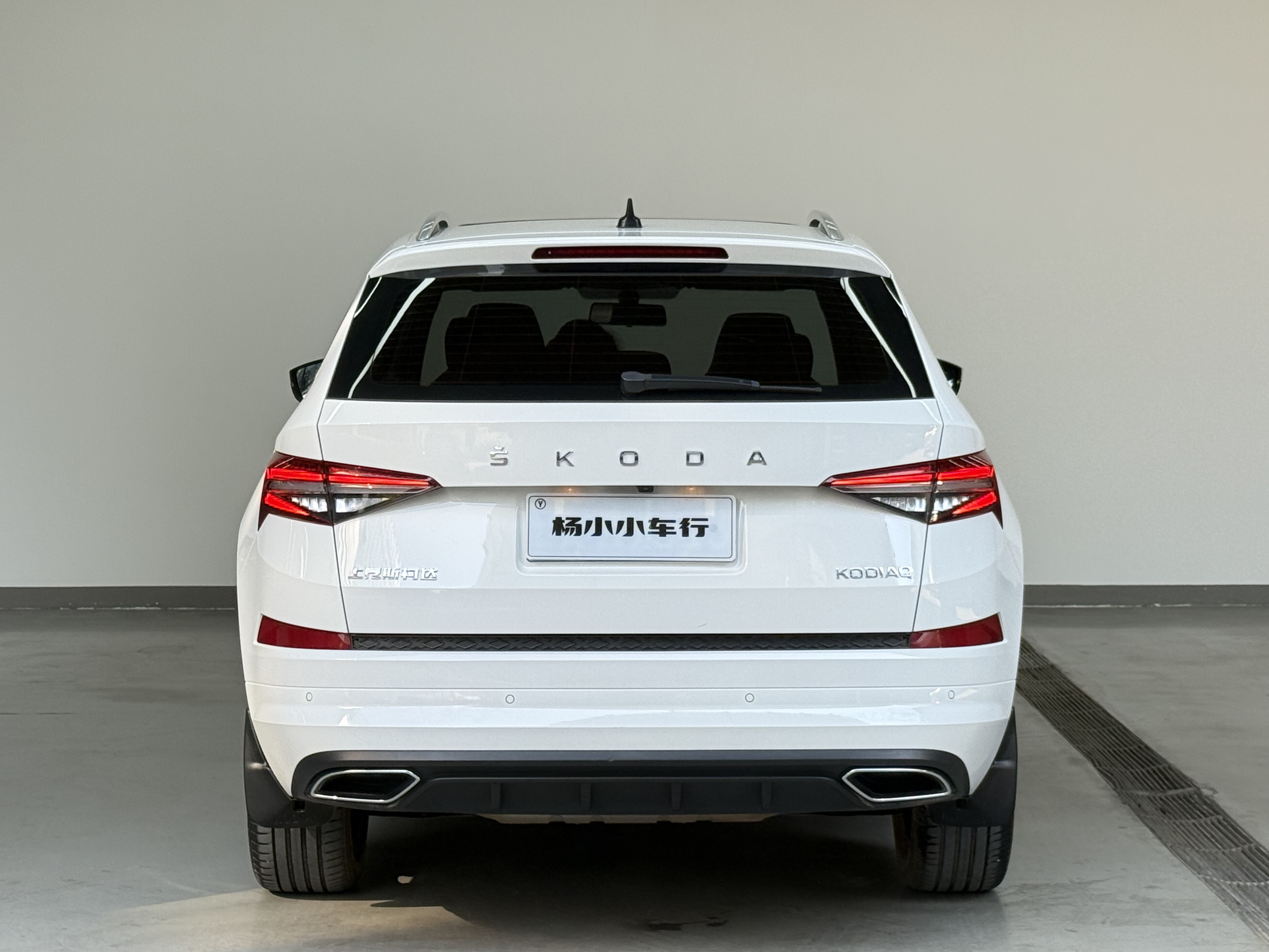 Skoda Kodiaq 2022 car image #5