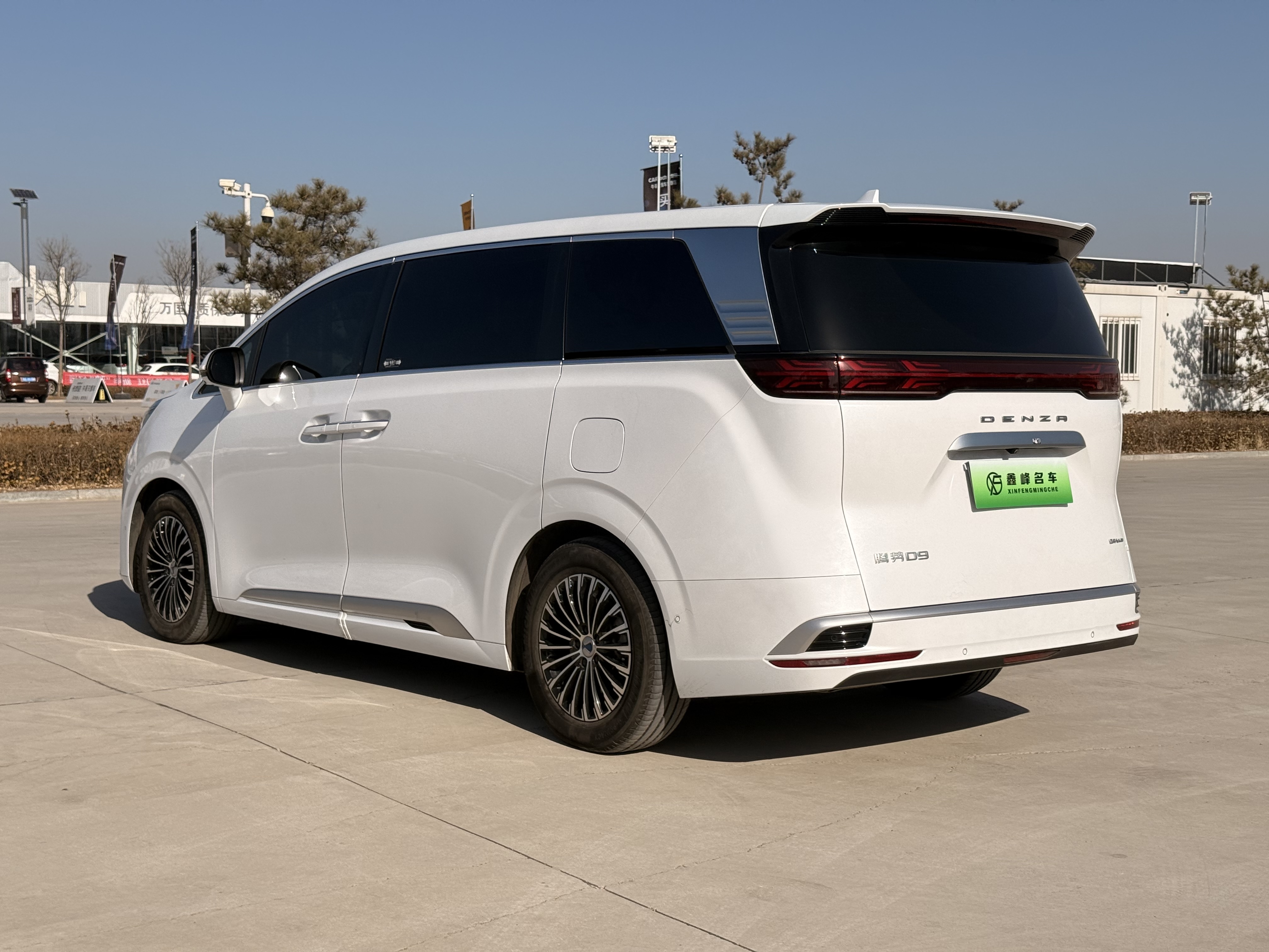 Denza D9 2024 car image #5