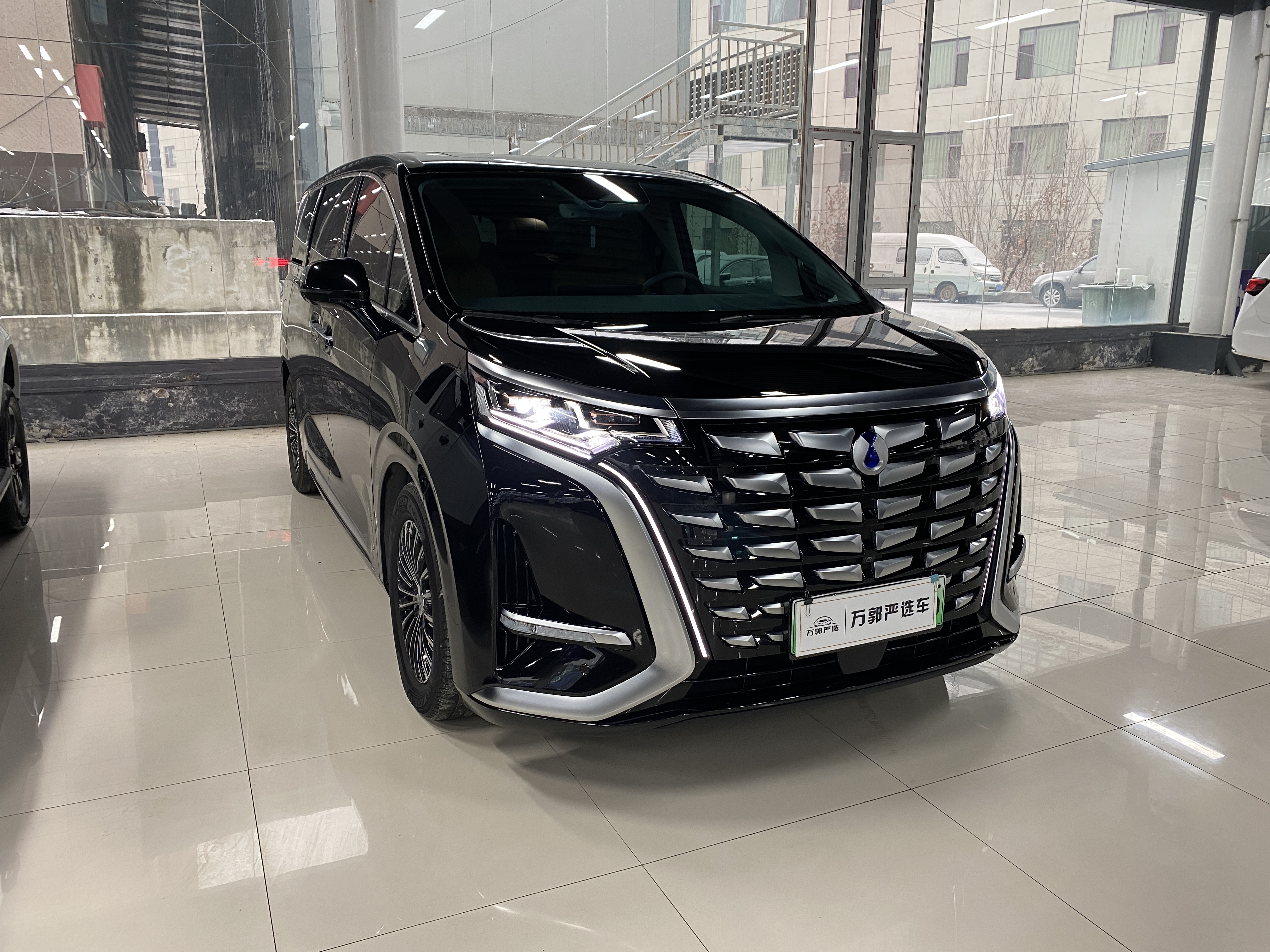 Denza D9 2023 изображение автомобиля #5