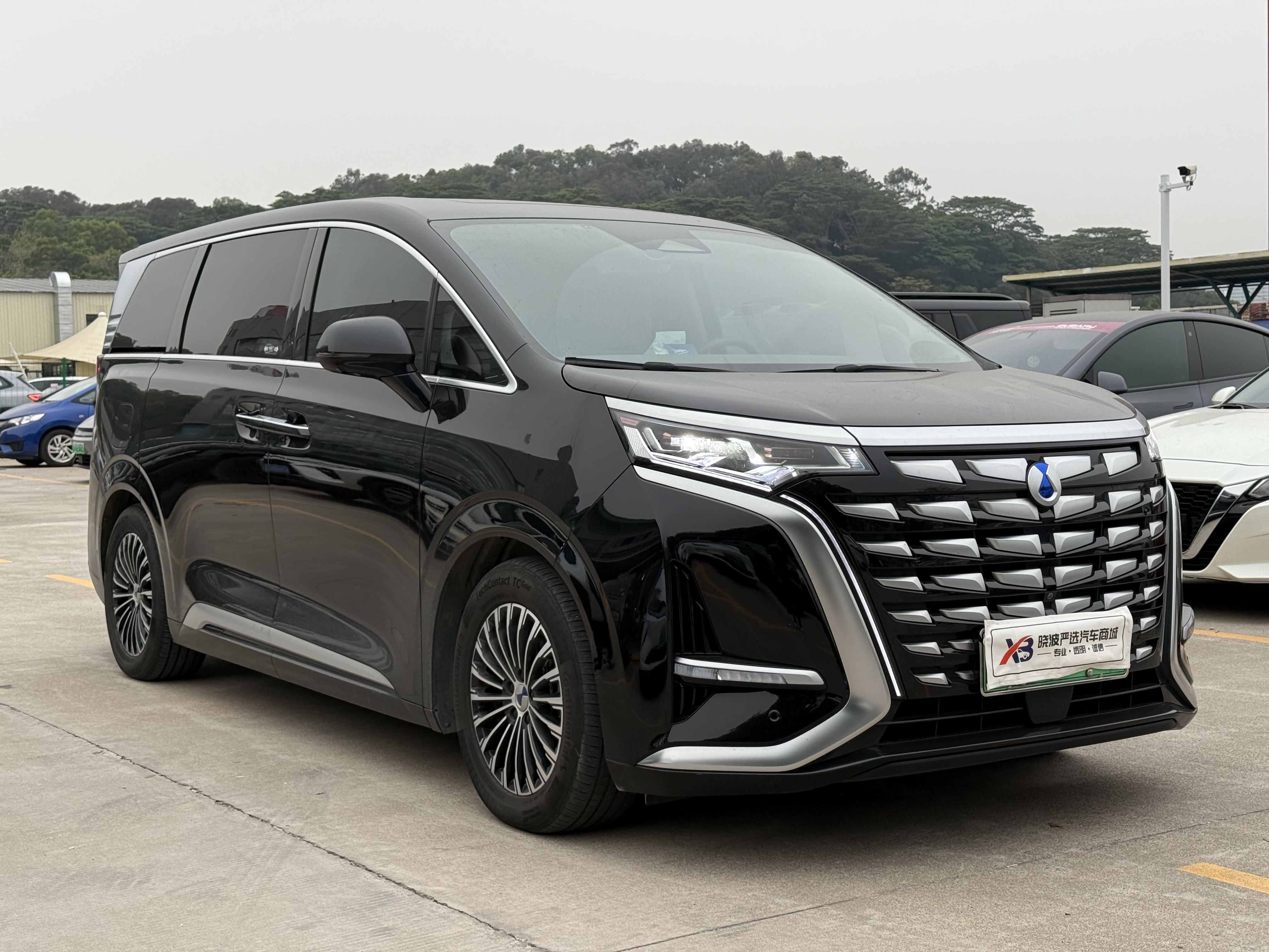 腾势 腾势D9 2023 汽车图片 #5