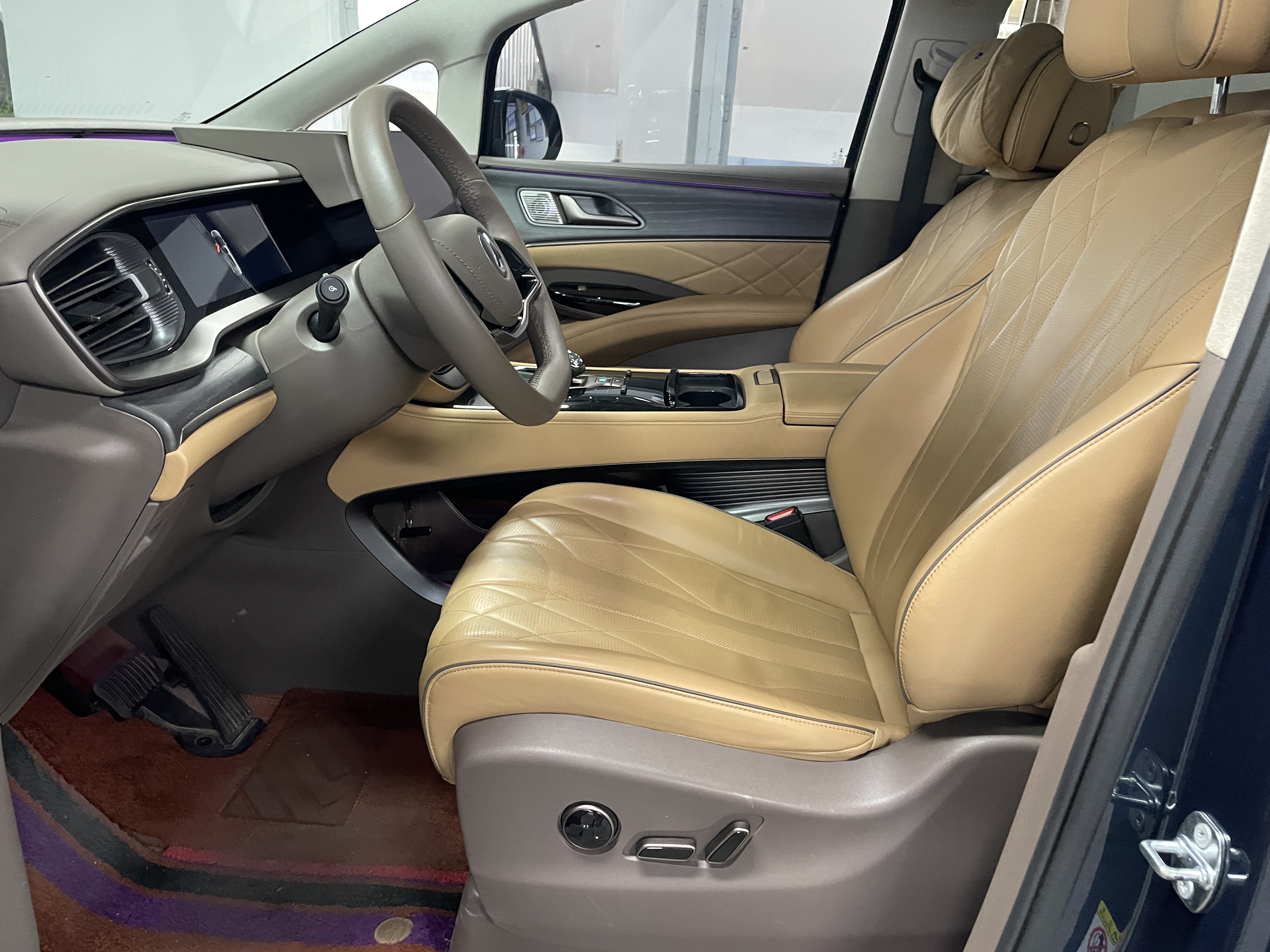 Denza D9 2023 immagine di auto #5