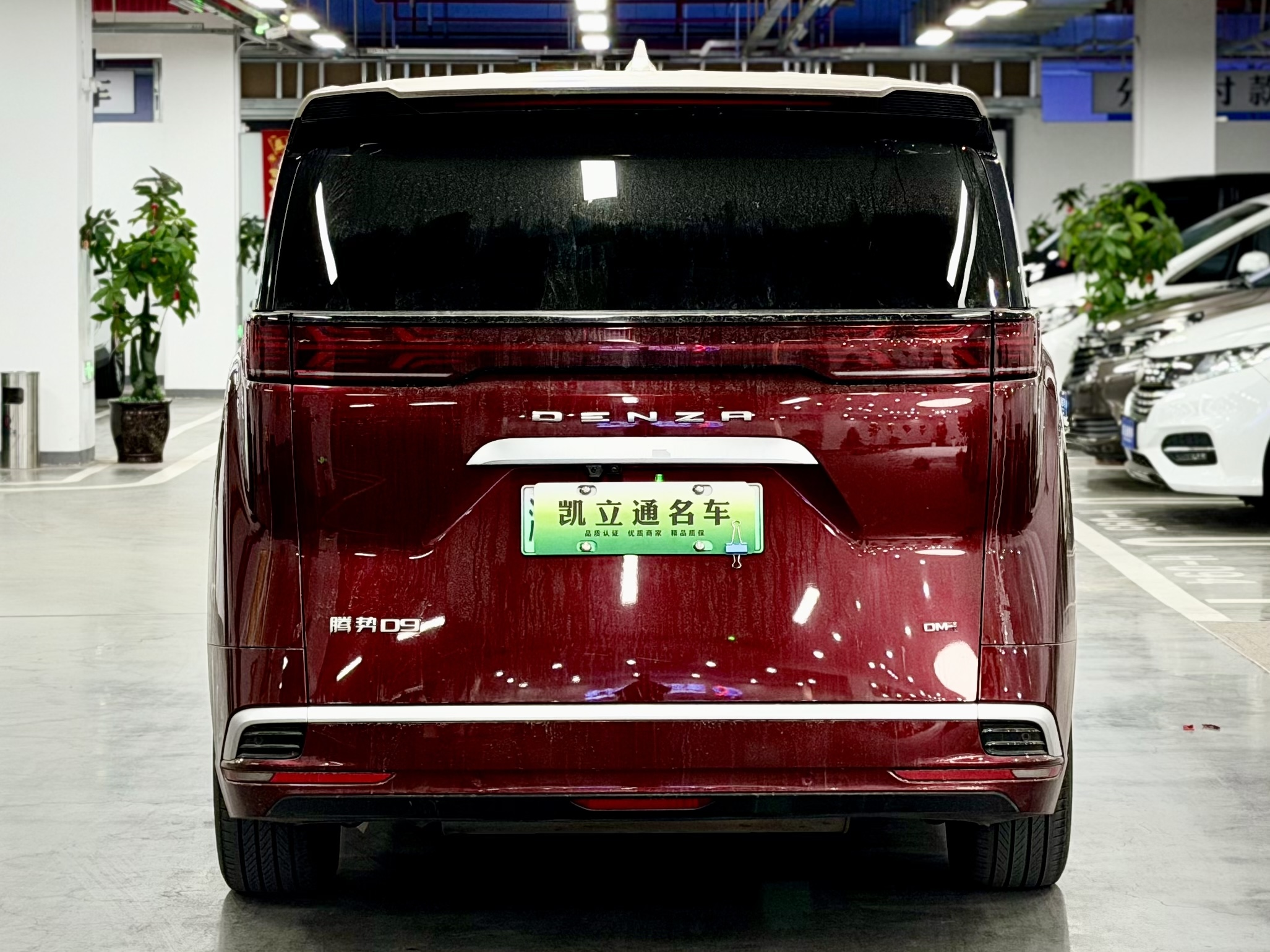 Denza D9 2023 imagem de carro #5