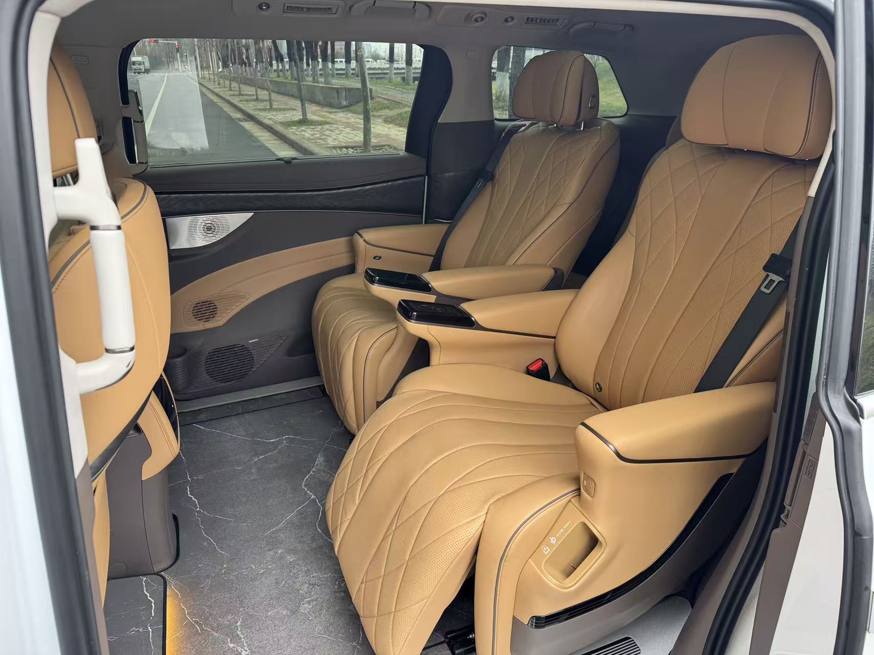 Denza D9 2023 immagine di auto #5