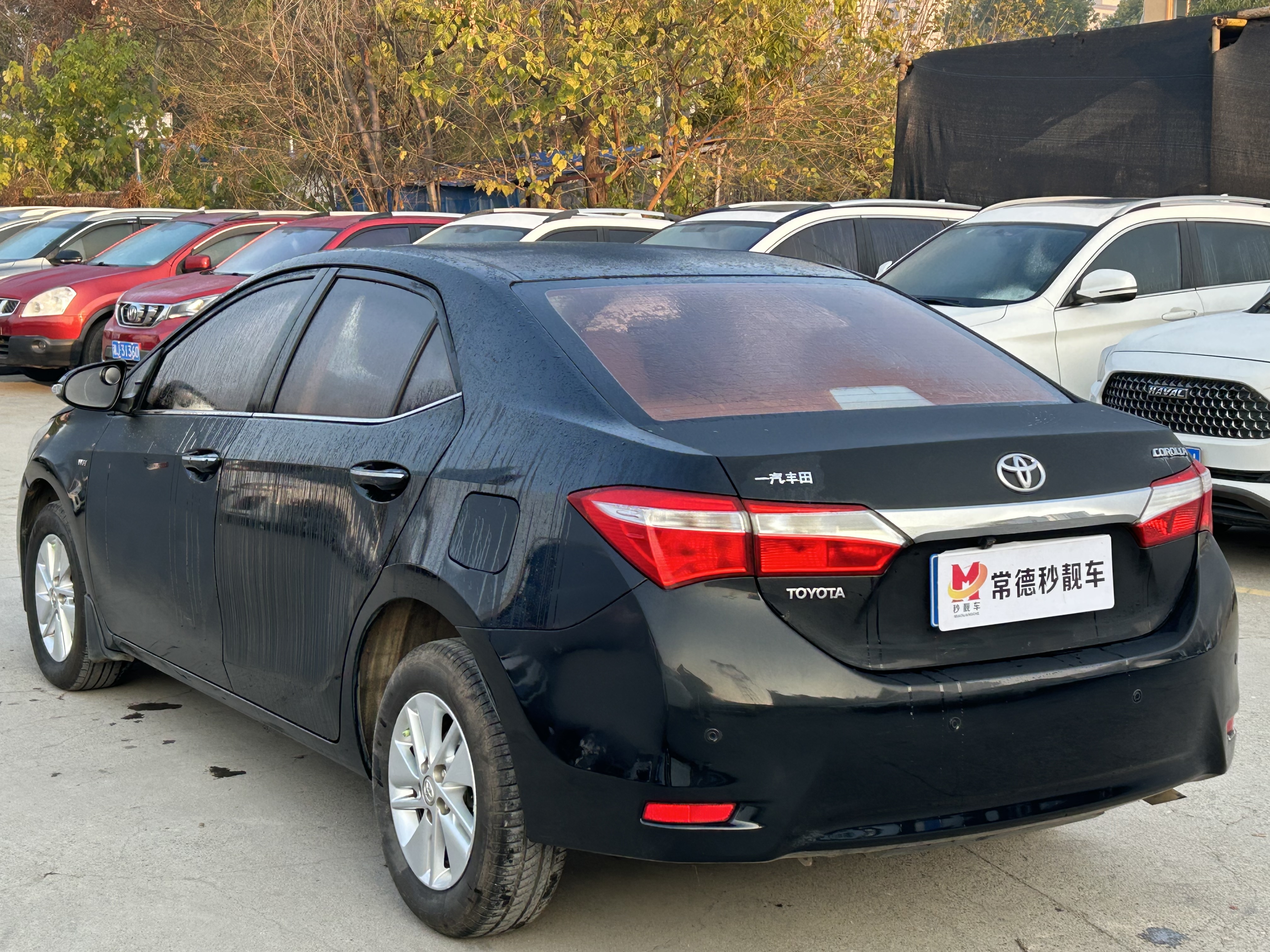 Corolla 2014 car image #5