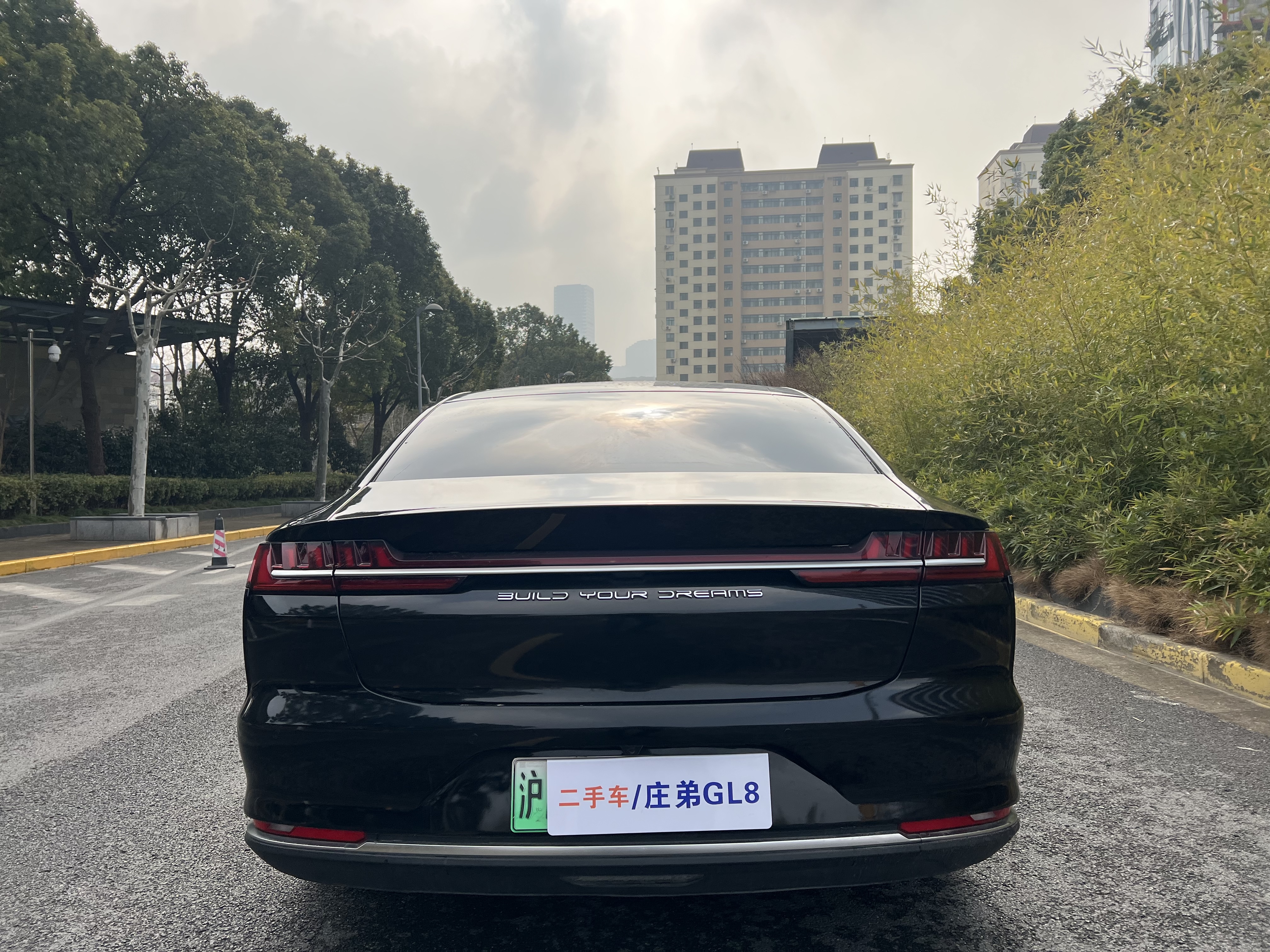 BYD e9 2022 car image #5