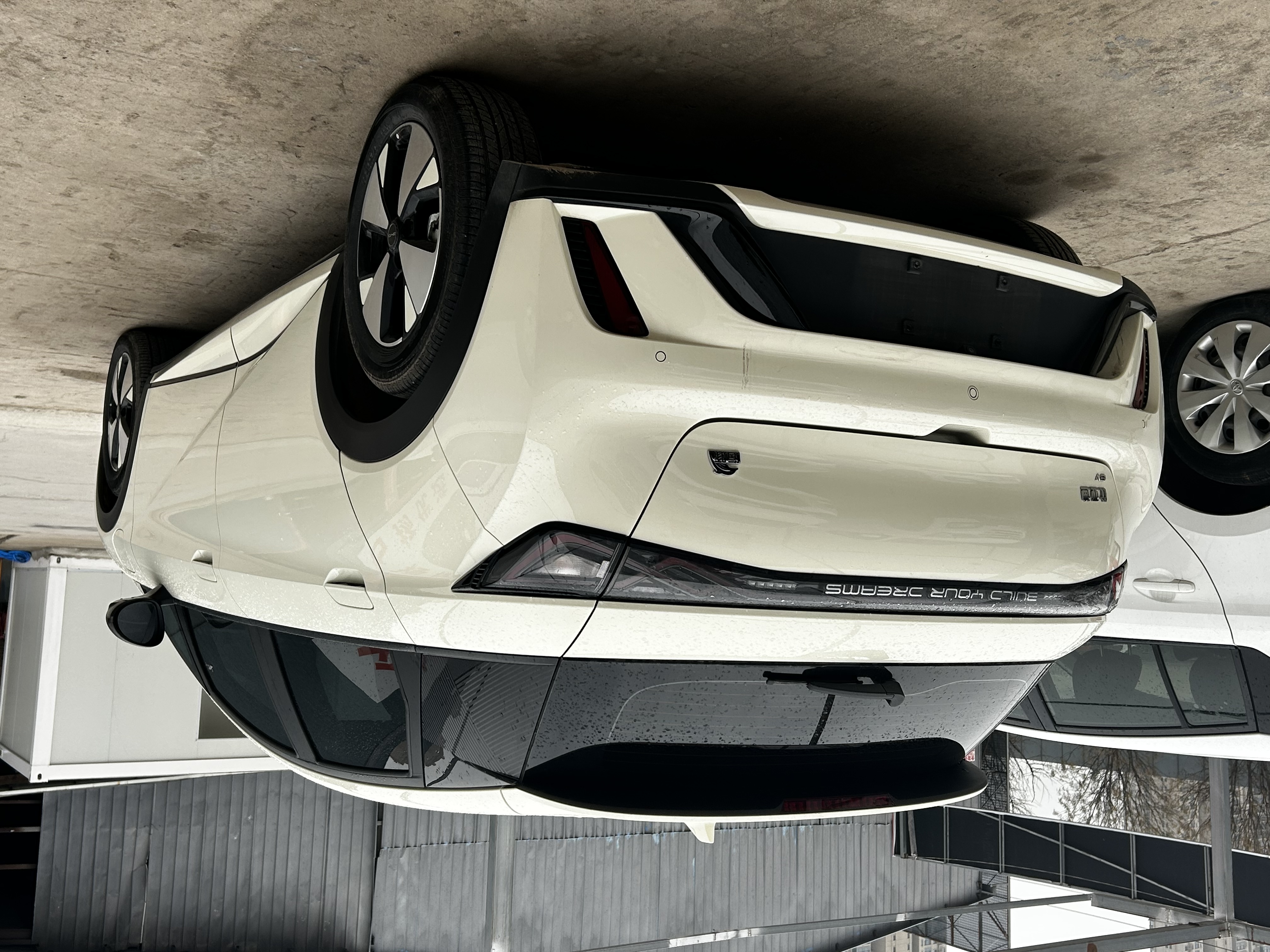 BYD Dolphin 2023 car image #5