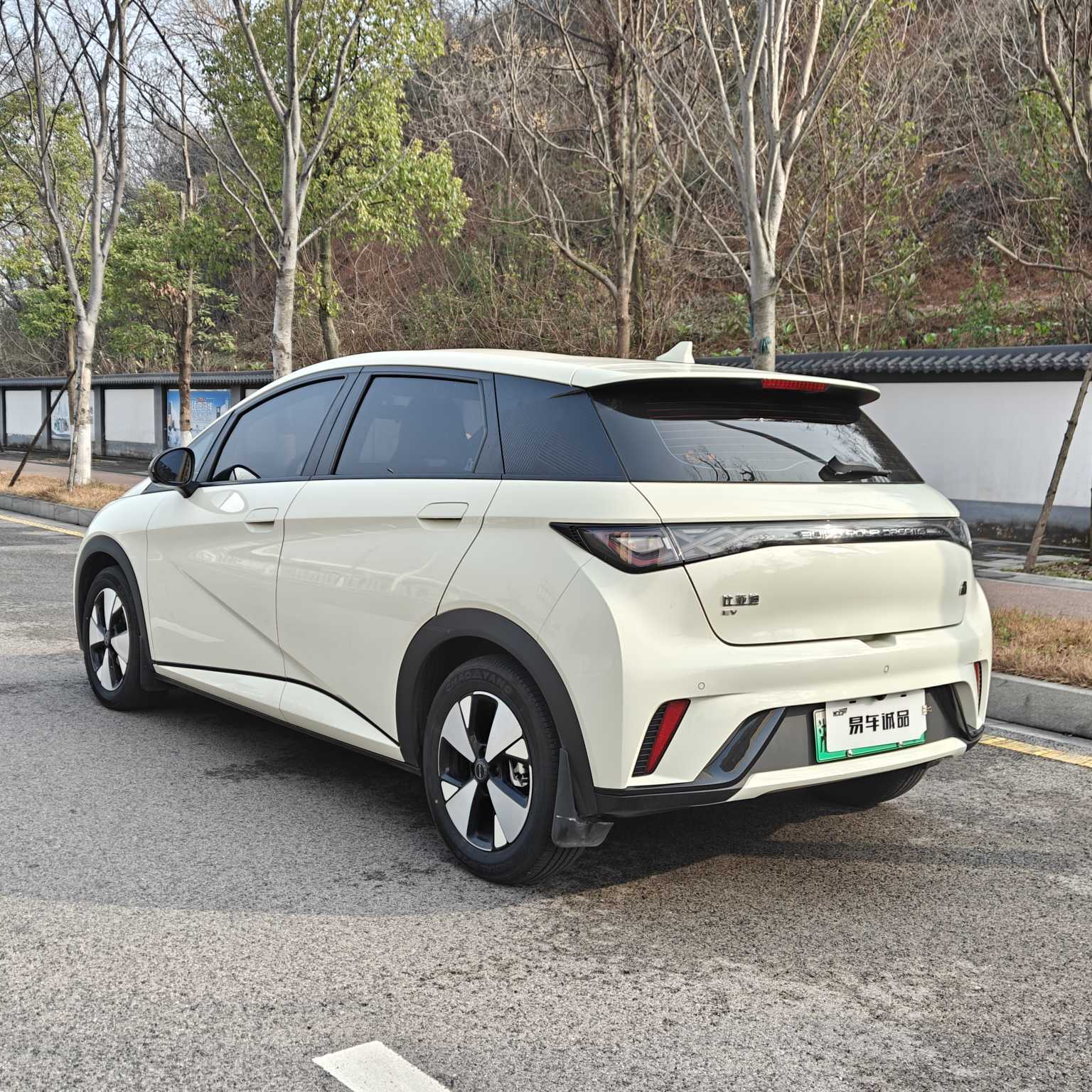 BYD Dolphin 2024 #5 BYD Dolphin 2024 car image #5