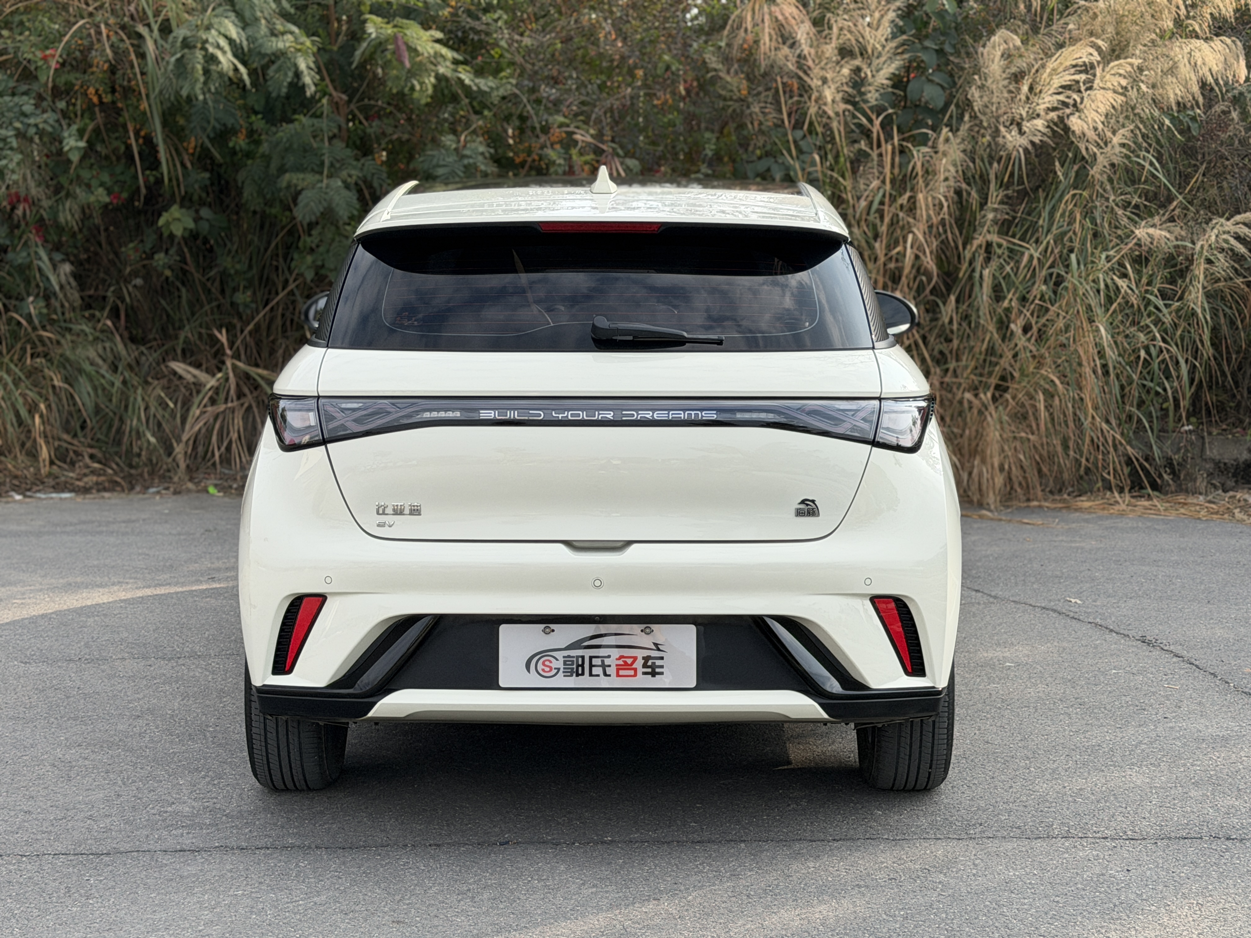 BYD Dolphin 2023 car image #5