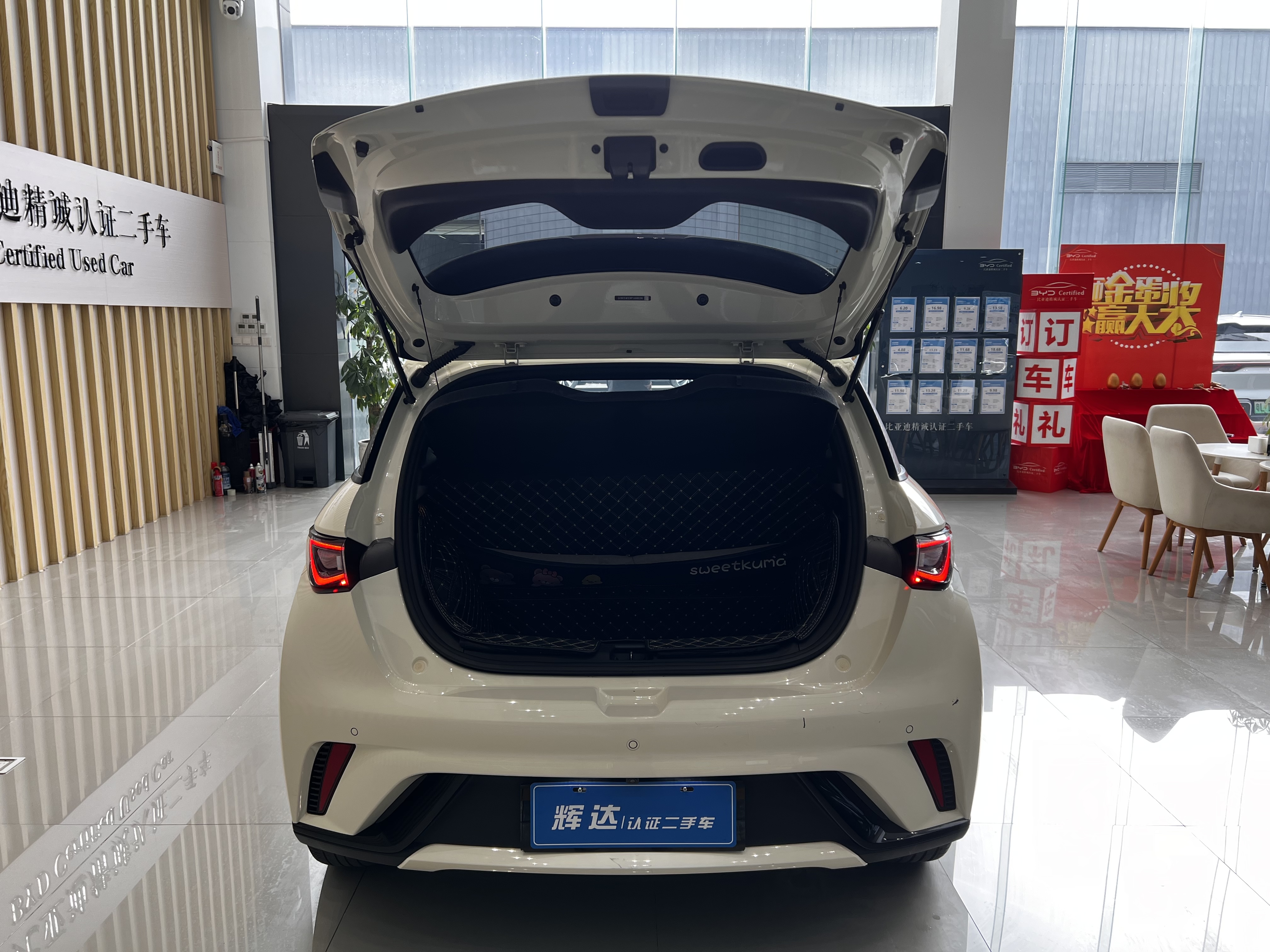 BYD Dolphin 2023 car image #5