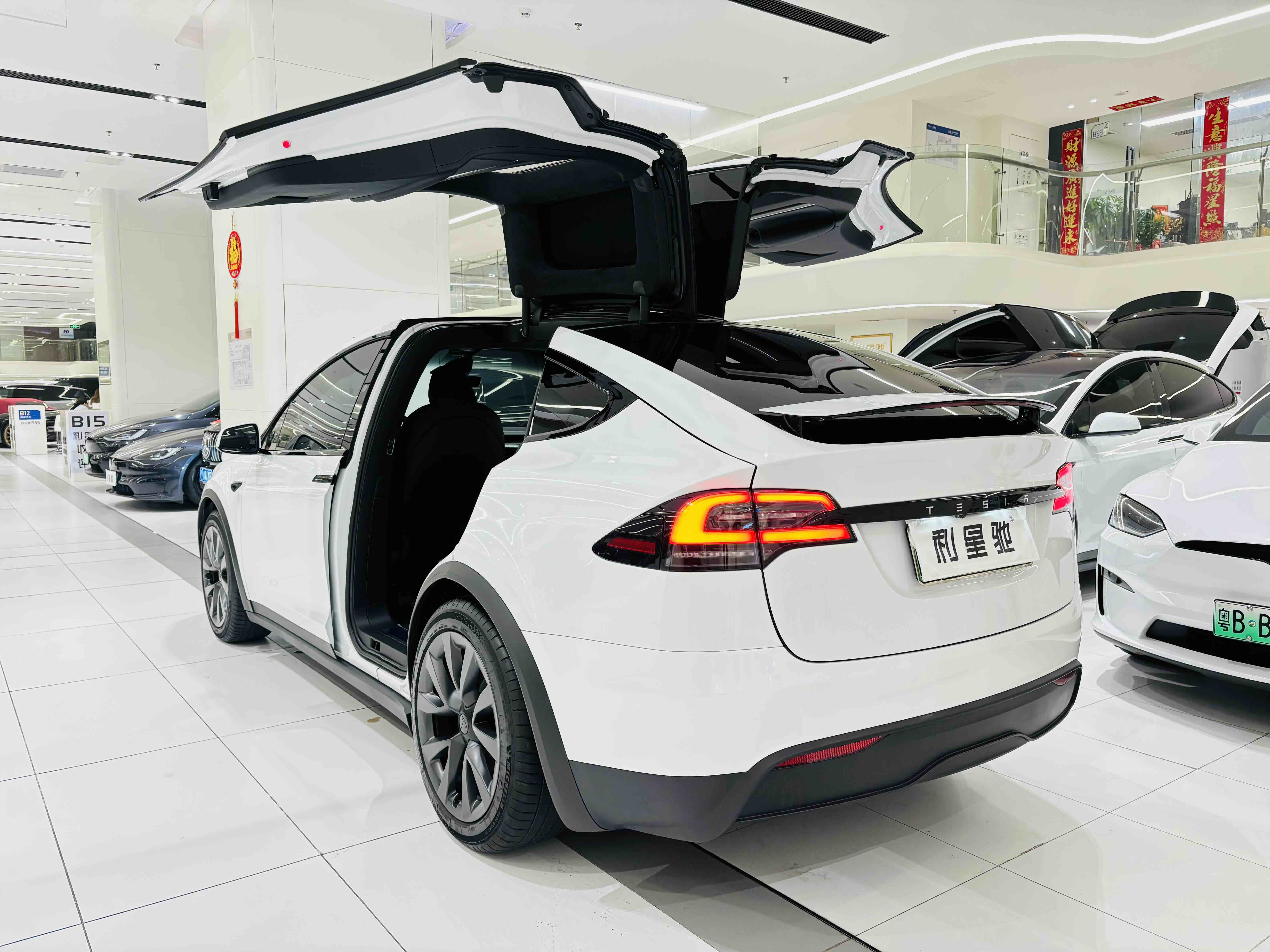 特斯拉 Model X 2024 汽车图片 #5