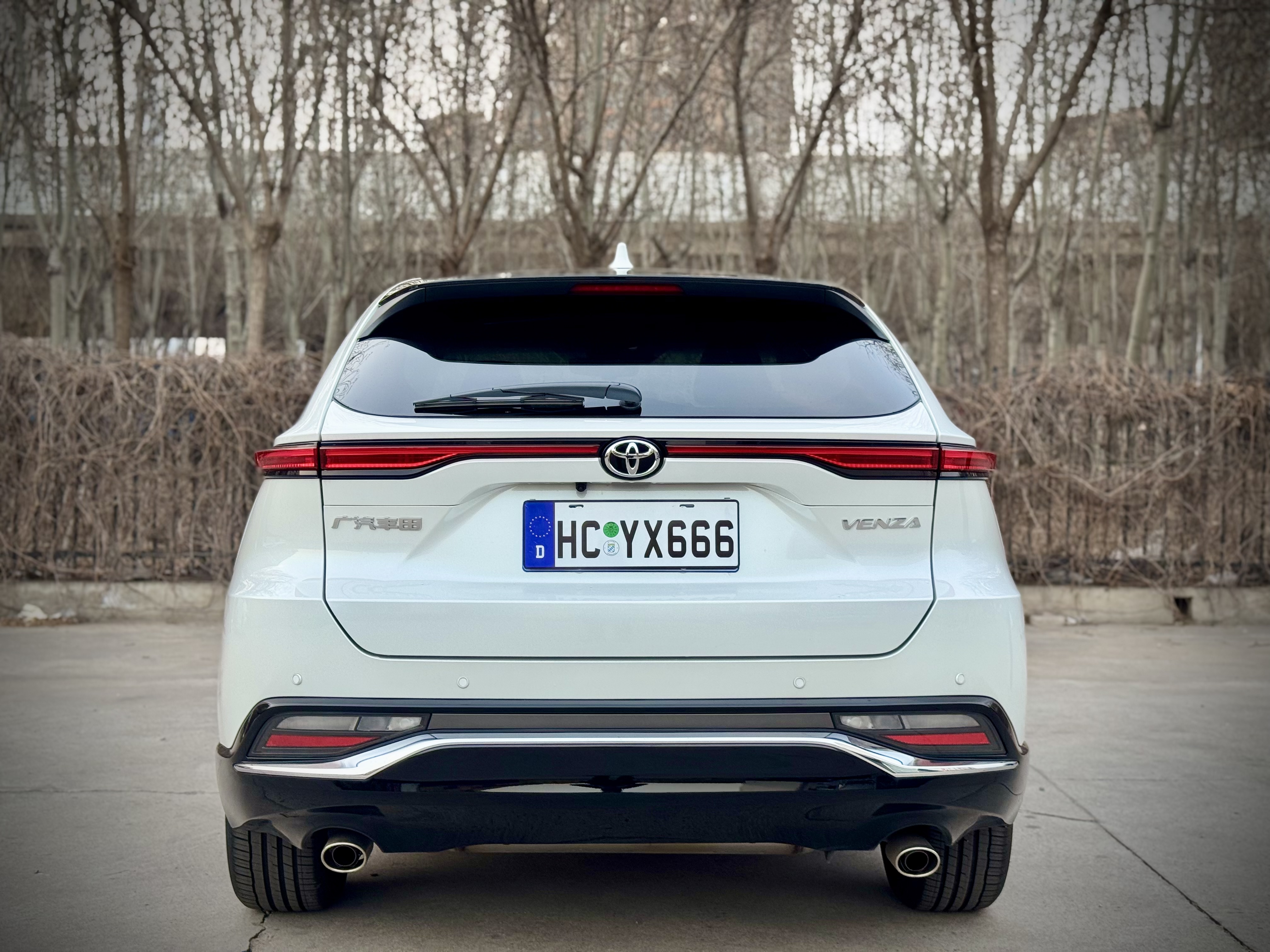 Toyota Venza 2023 car image #5