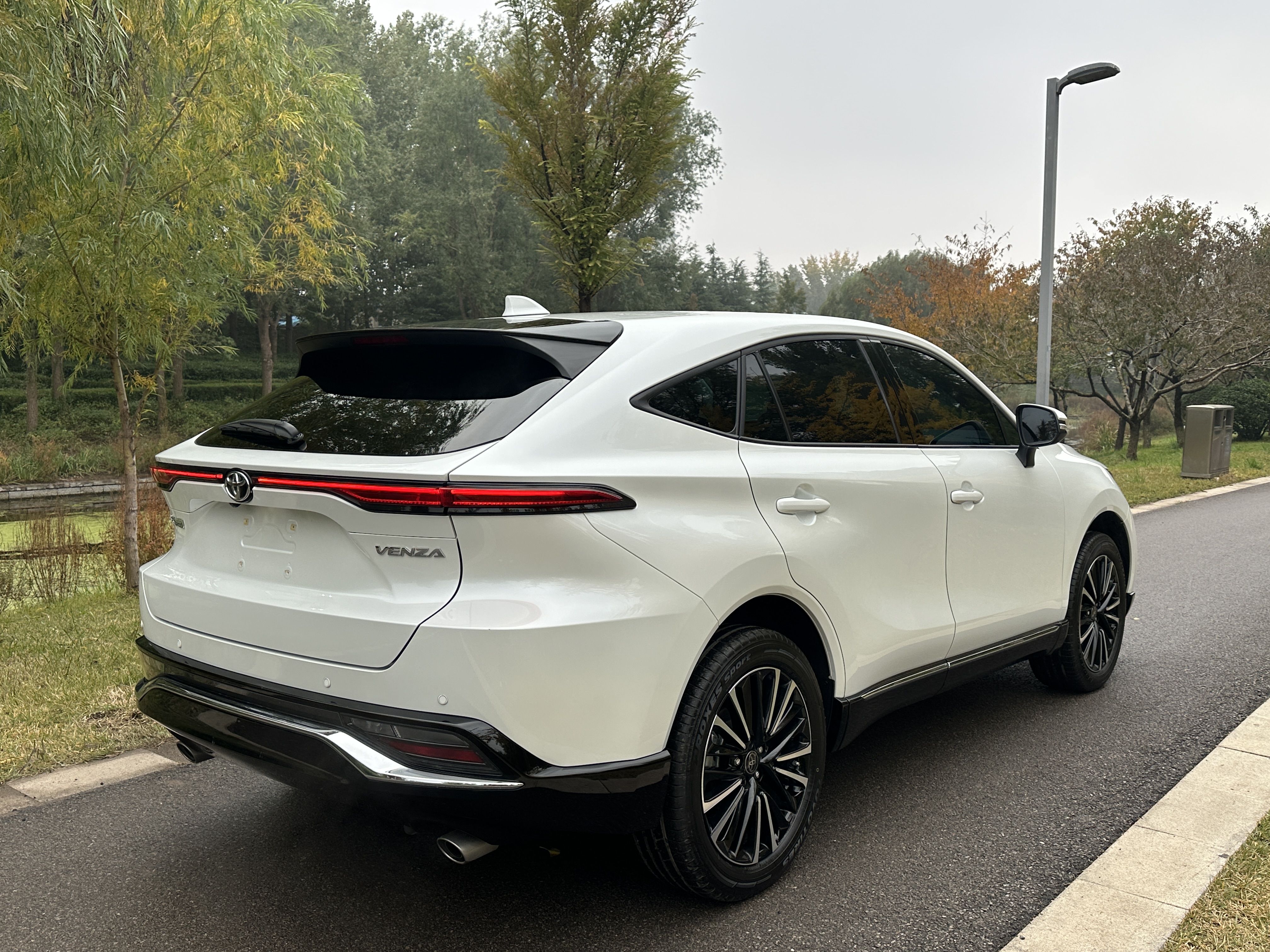 Toyota Venza 2023 immagine di auto #5