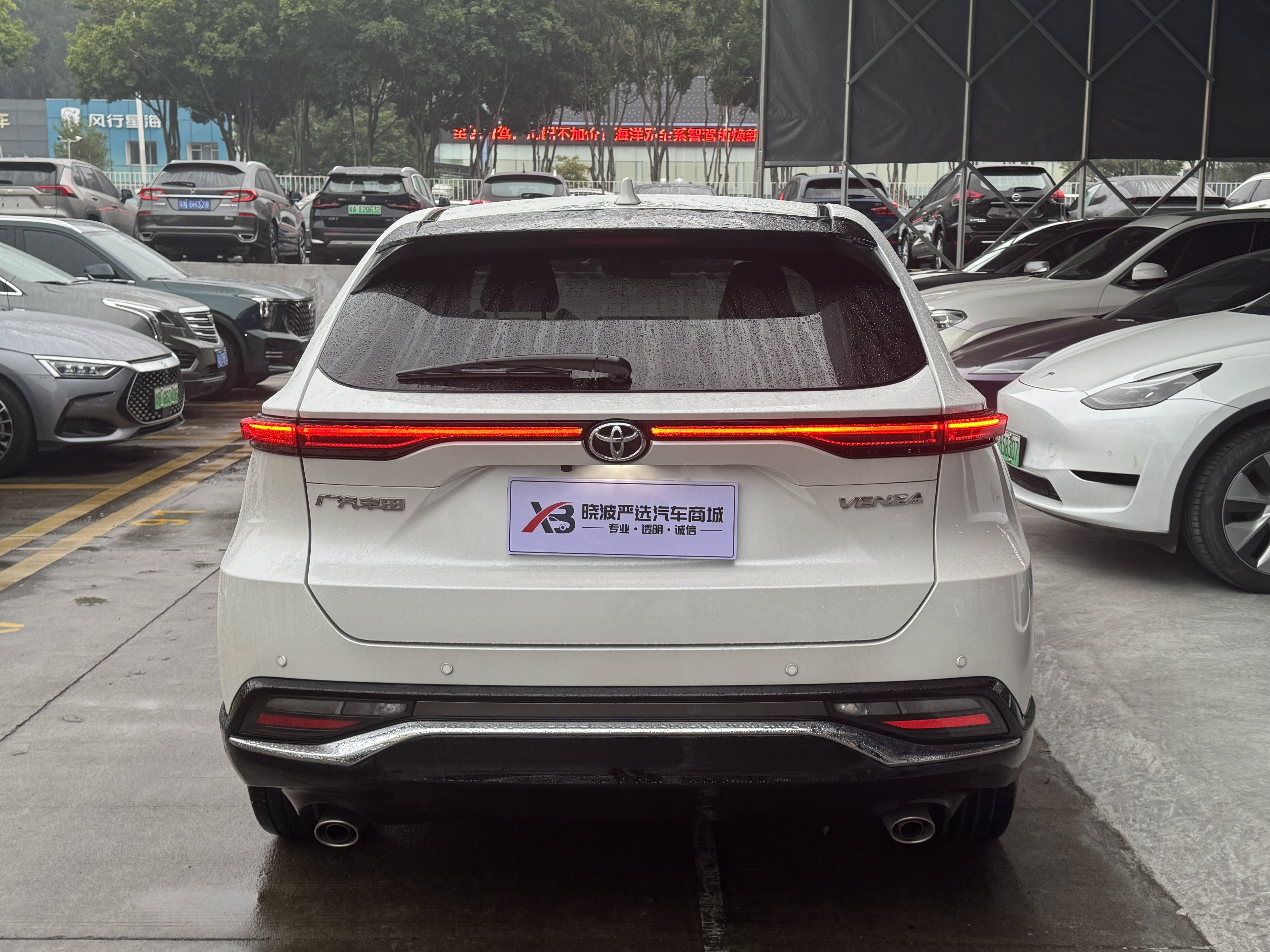 Toyota Venza 2024 immagine di auto #5