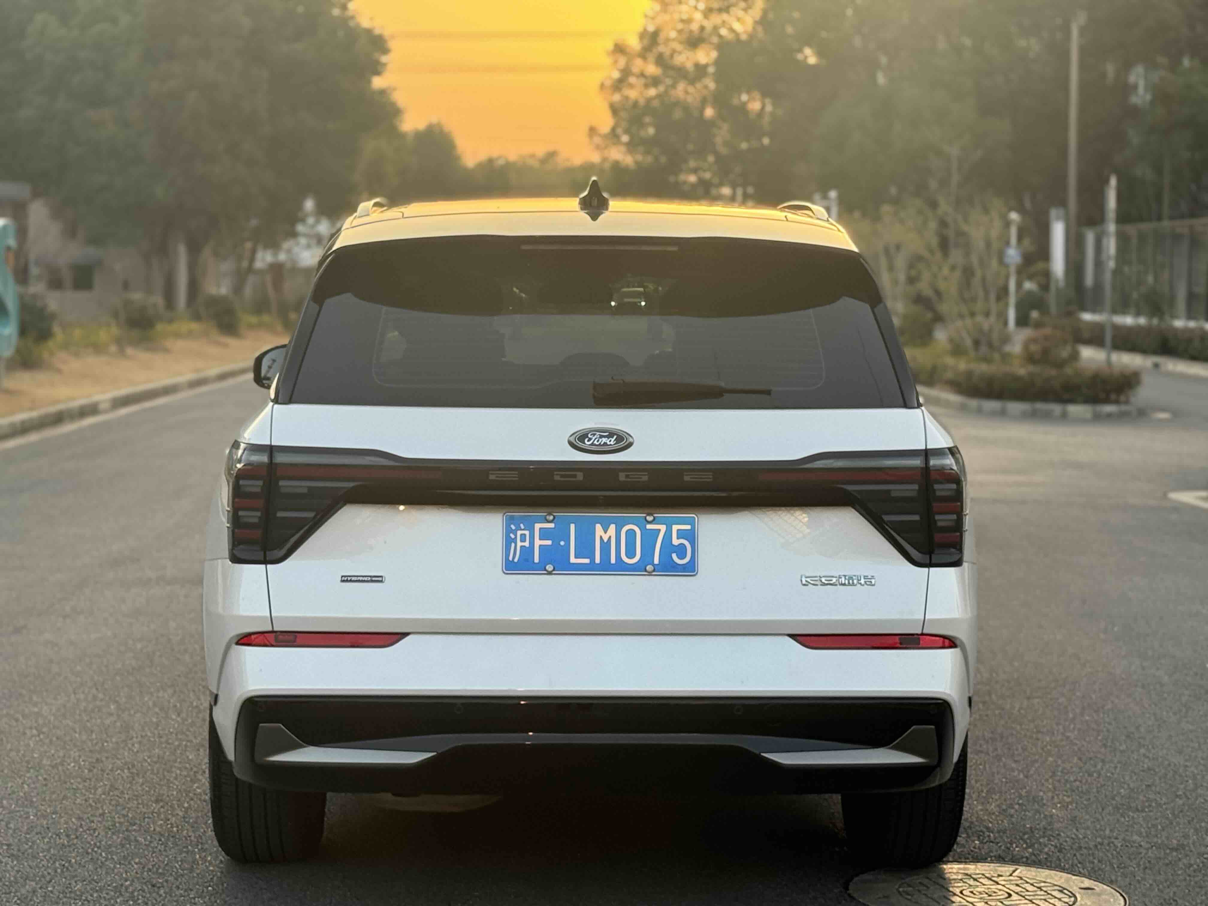 Ford Edge 2024 car image #5
