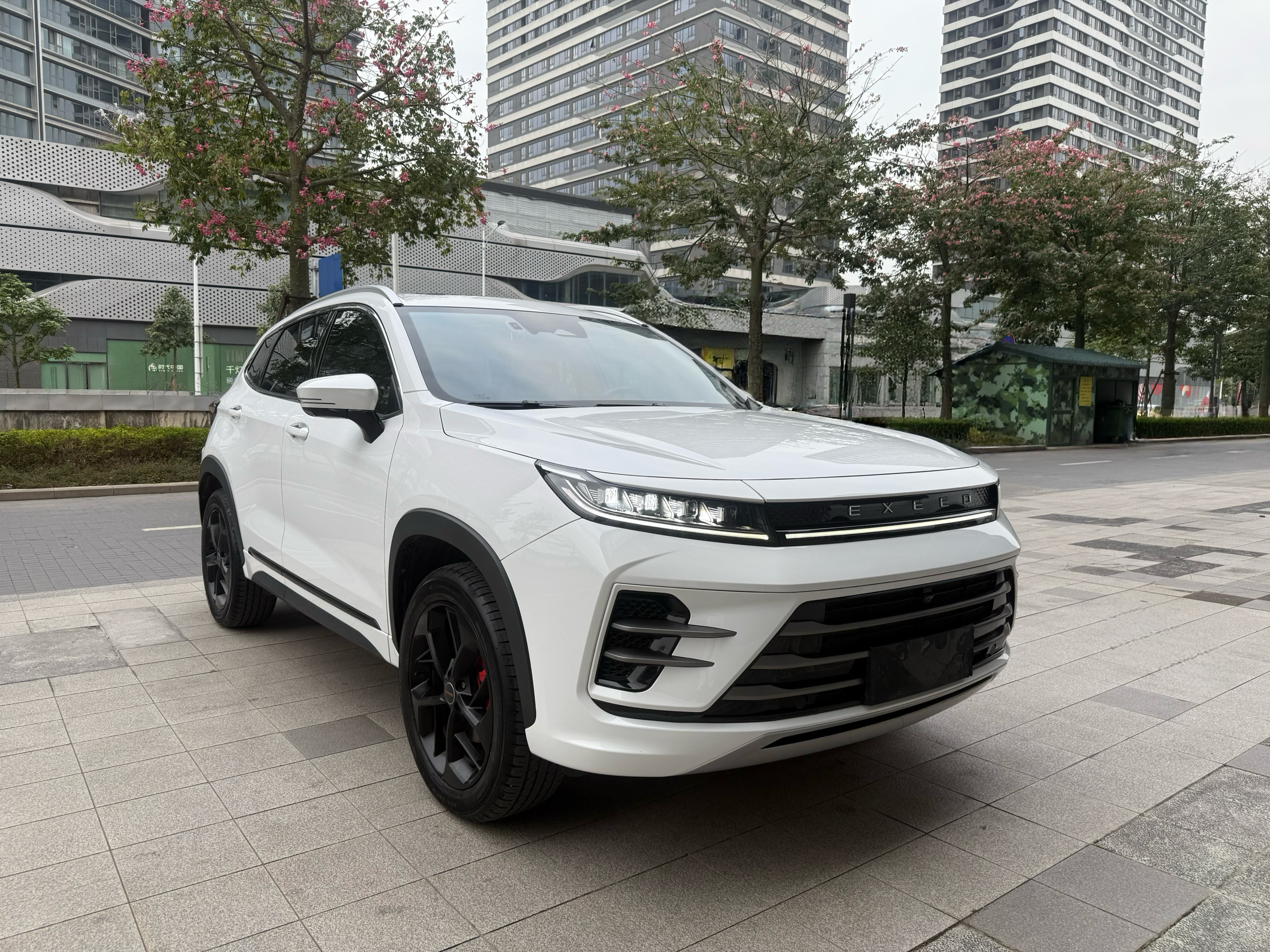 Exceed Chasing Wind 2024 #5 Exceed Chasing Wind 2024 car image #5