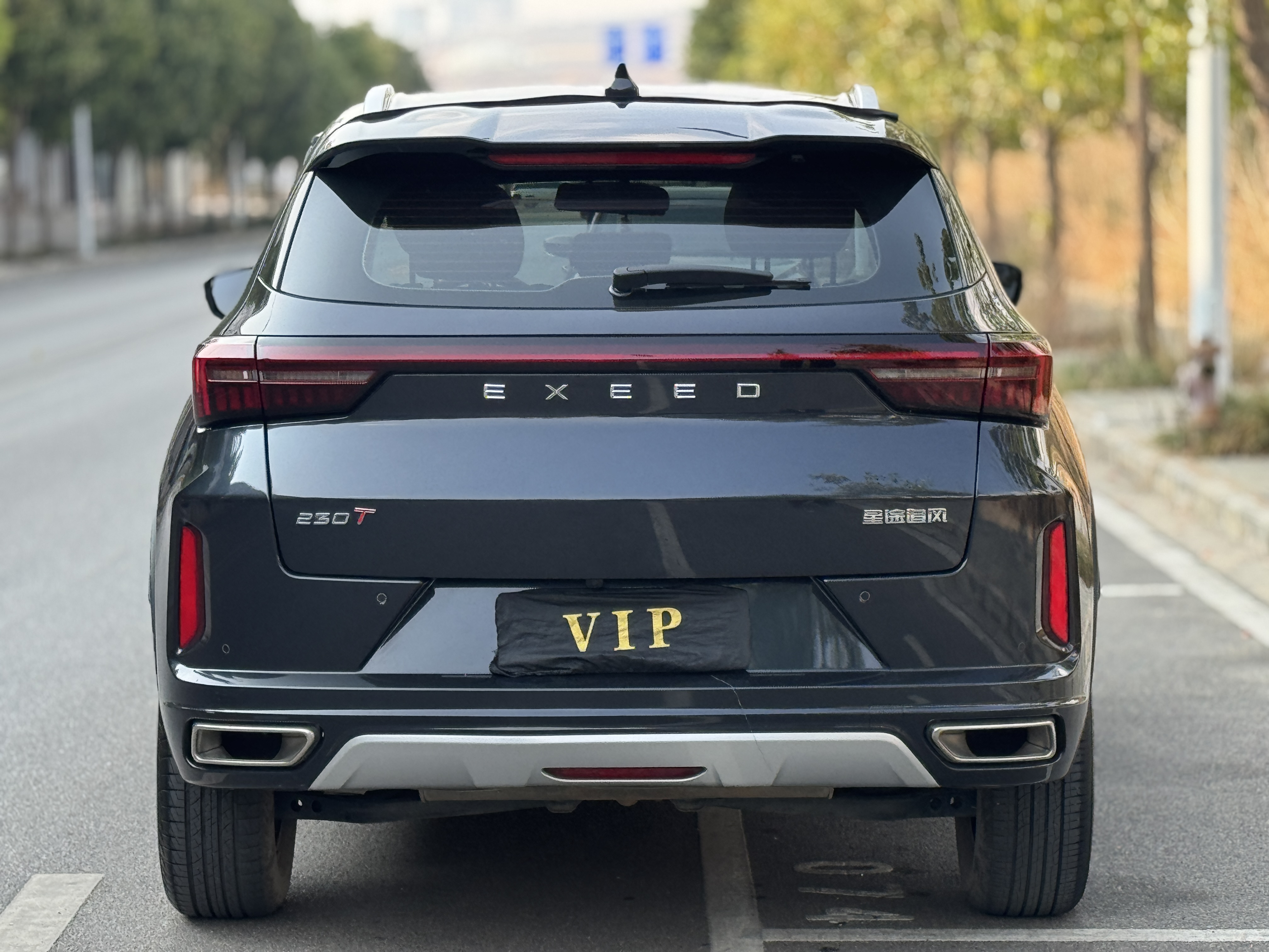 Exceed Chasing Wind 2024 car image #5