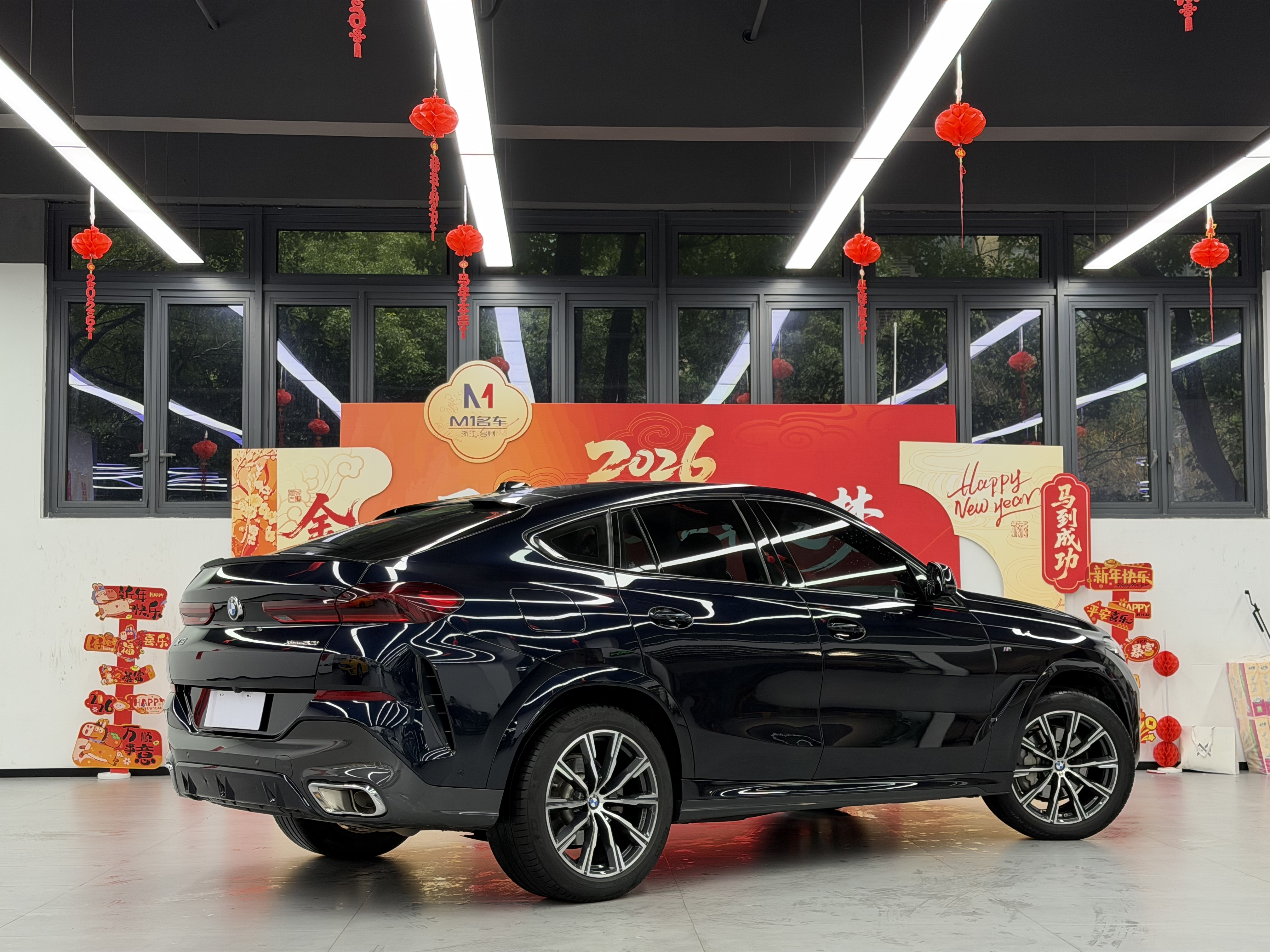 BMW X6 2023 car image #5