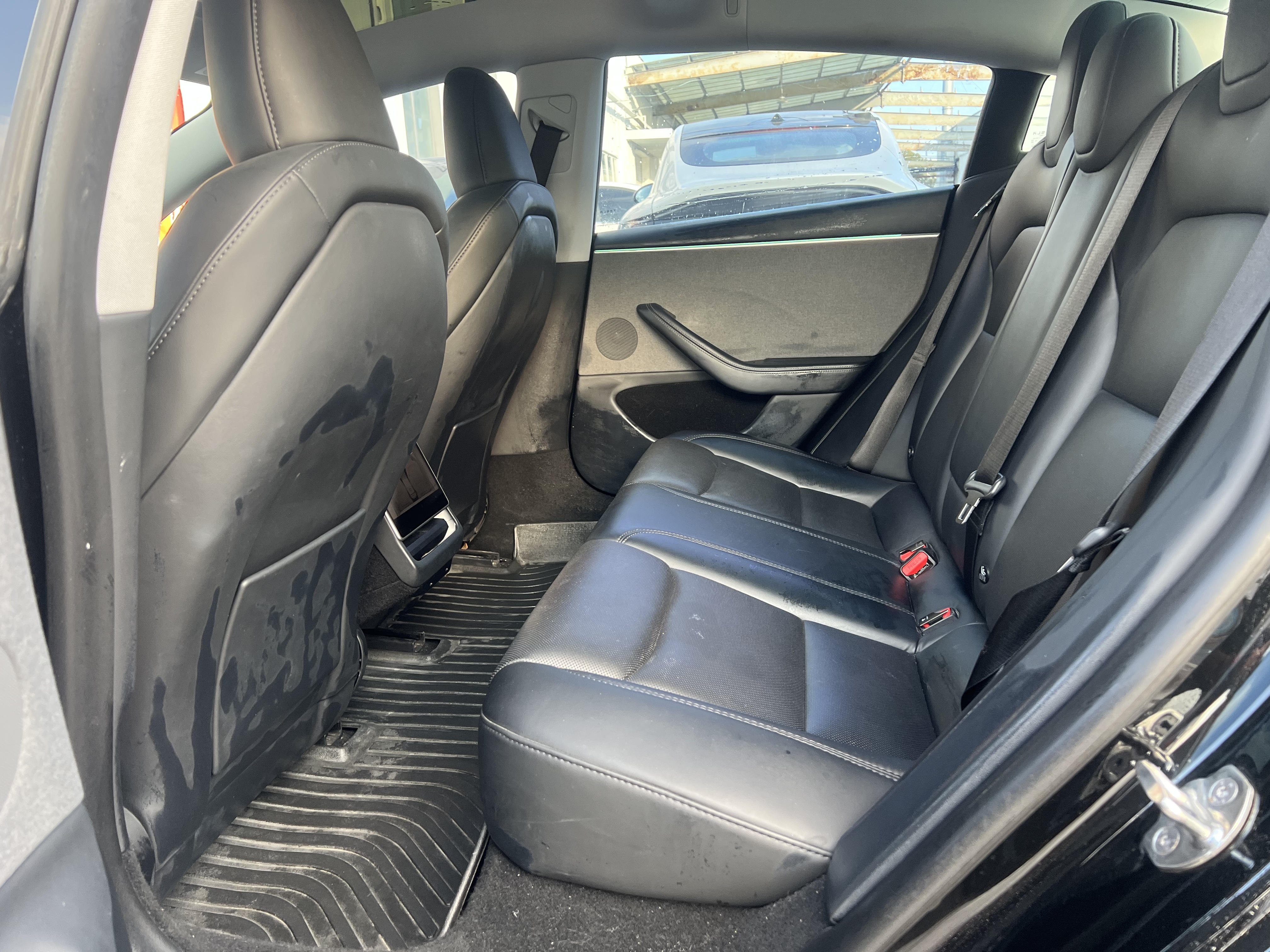 Tesla Model 3 2023 #5 Tesla Model 3 2023 car image #5