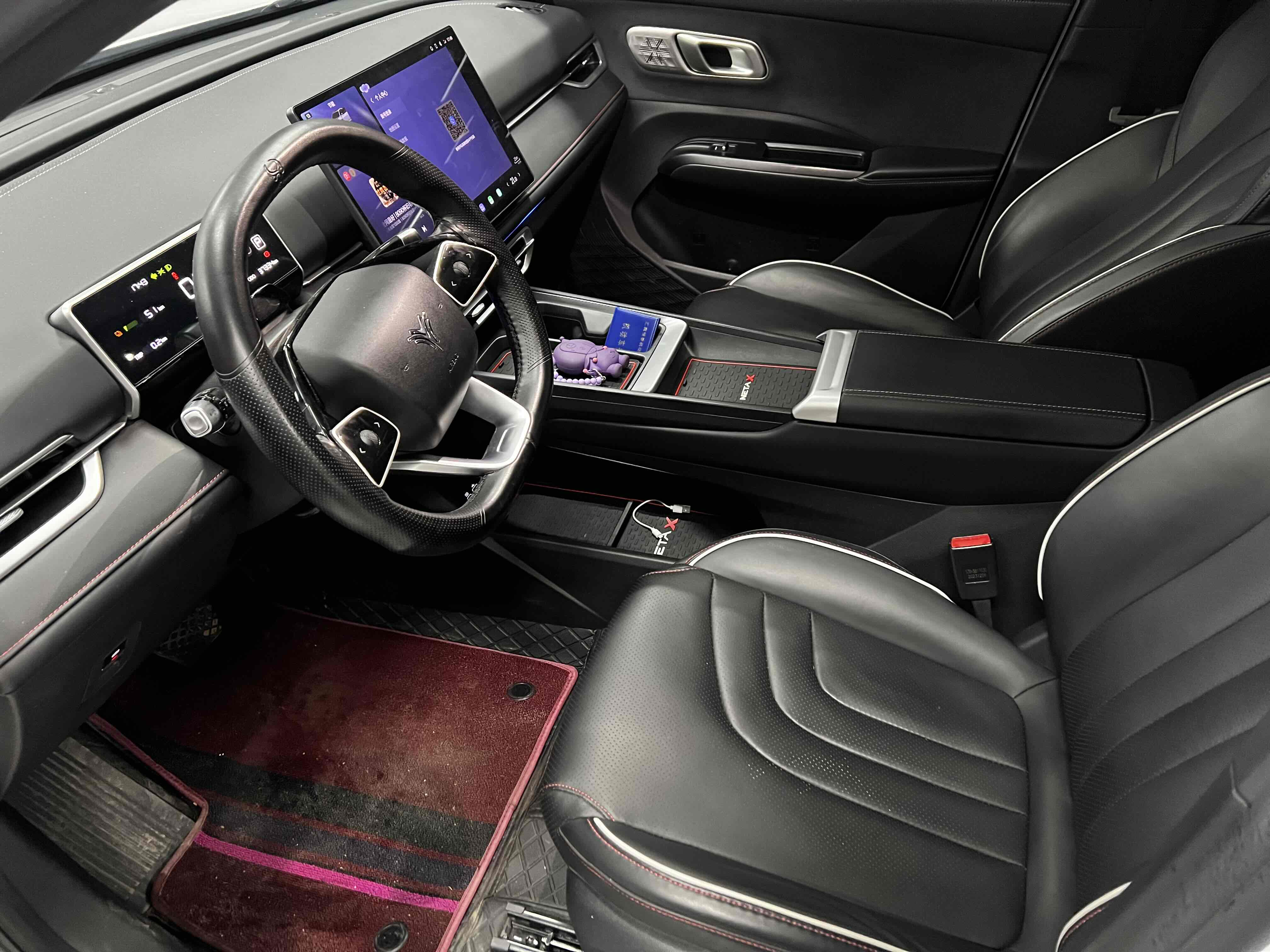 Neta X 2024 imagem de carro #5