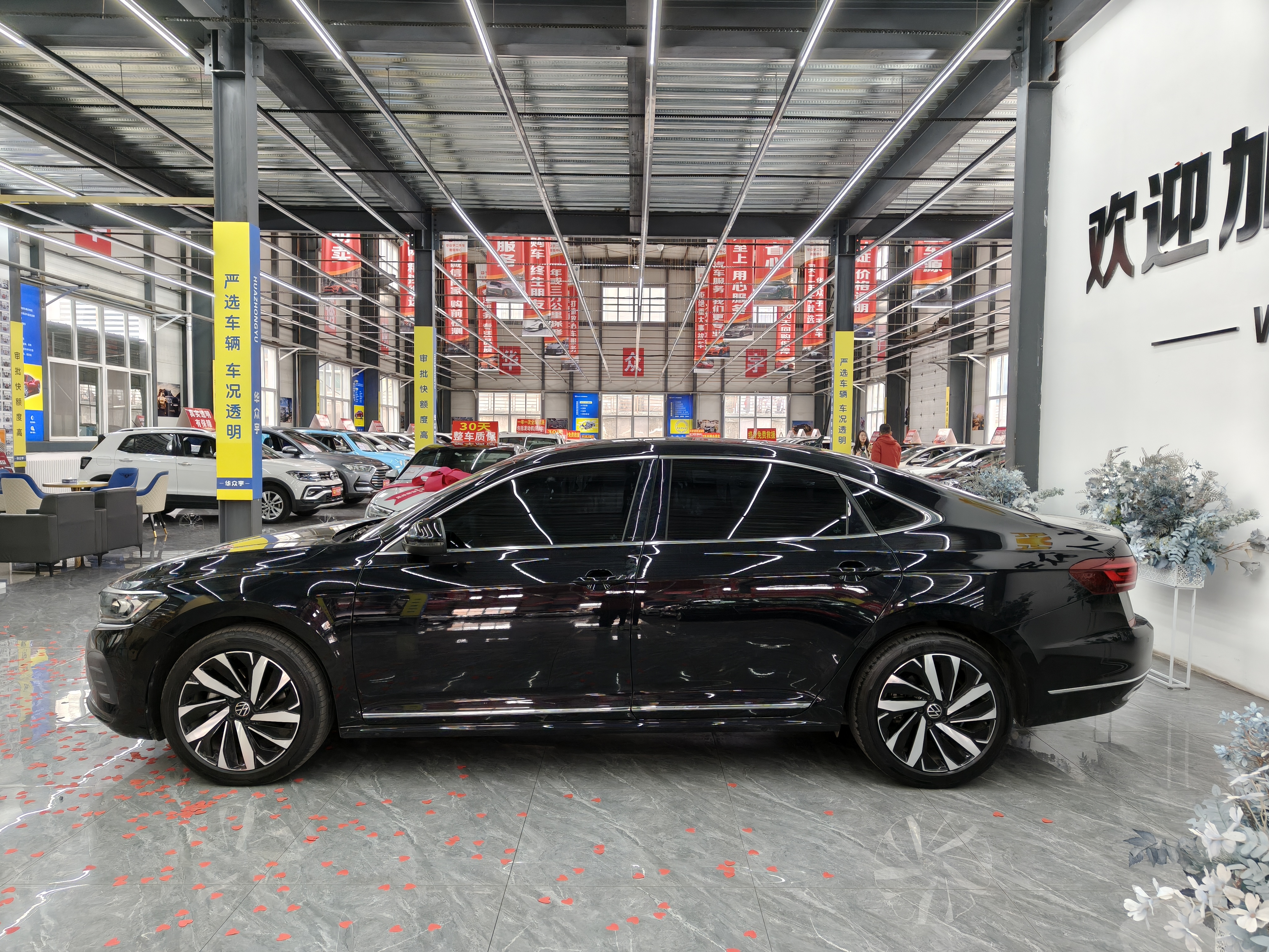 Volkswagen Passat 2024 car image #5