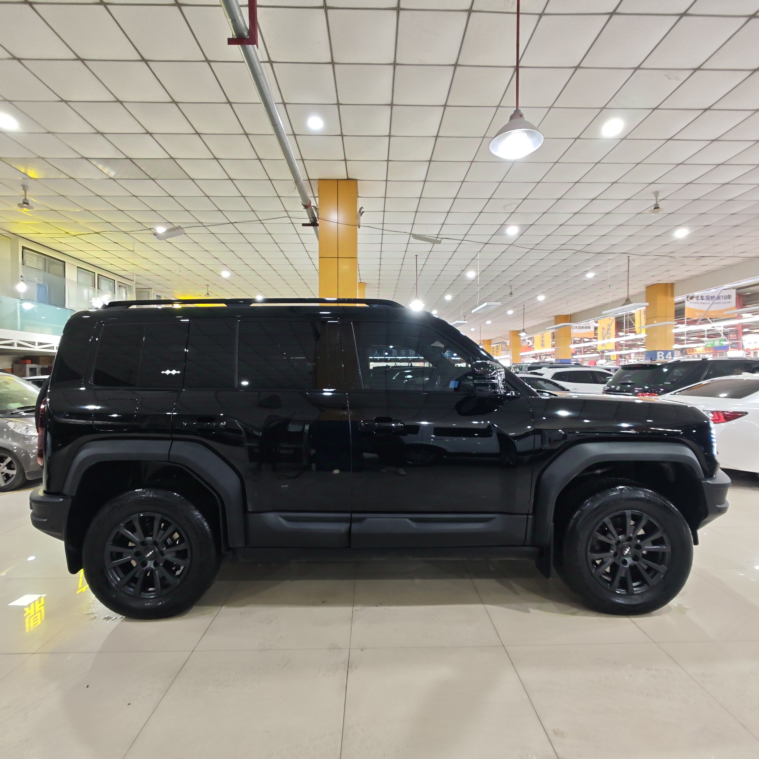 FangChengBao Leopard 5 2024 immagine di auto #5